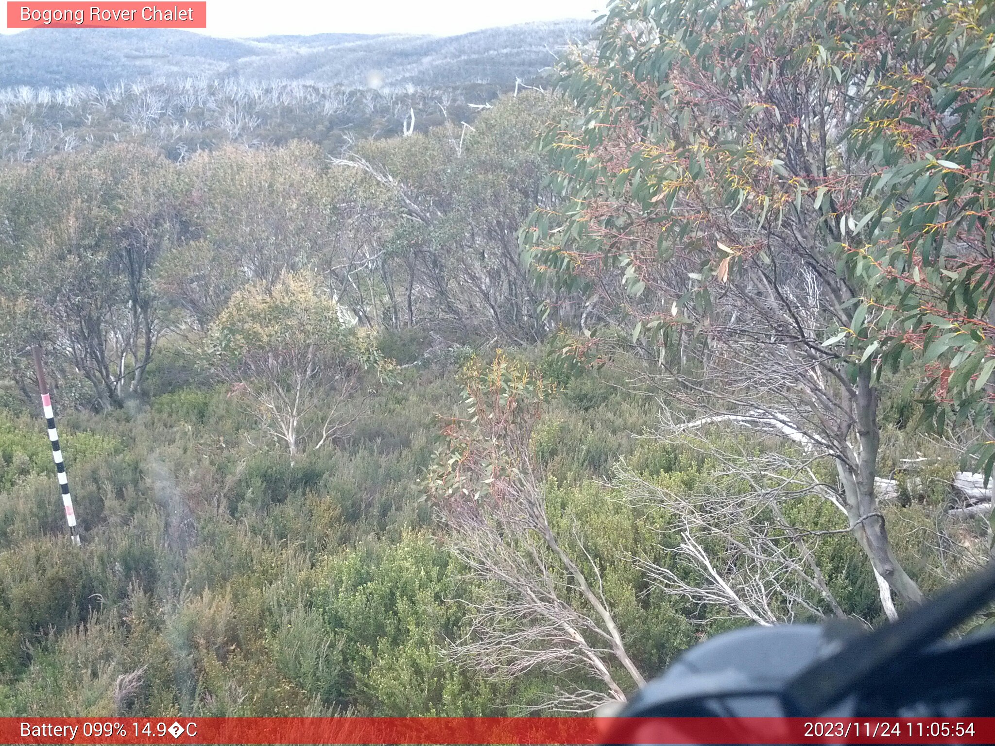 Bogong Web Cam 11:05am Friday 24th of November 2023