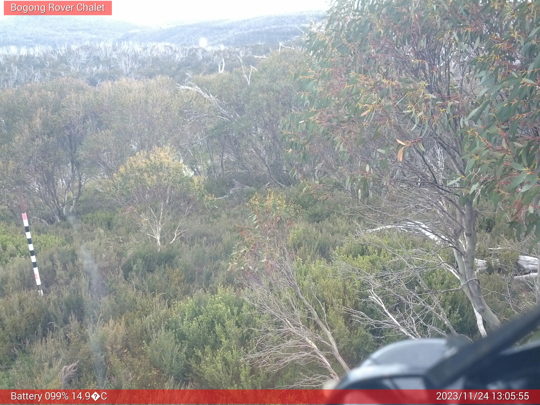 Bogong Web Cam 1:05pm Friday 24th of November 2023