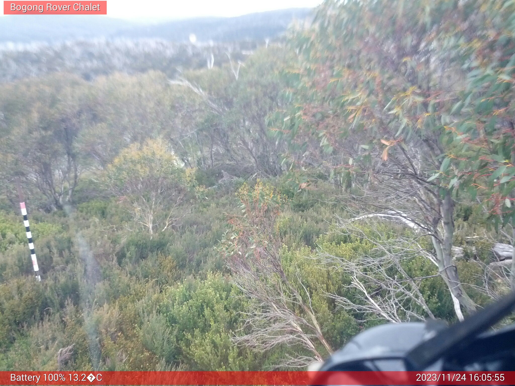 Bogong Web Cam 4:05pm Friday 24th of November 2023