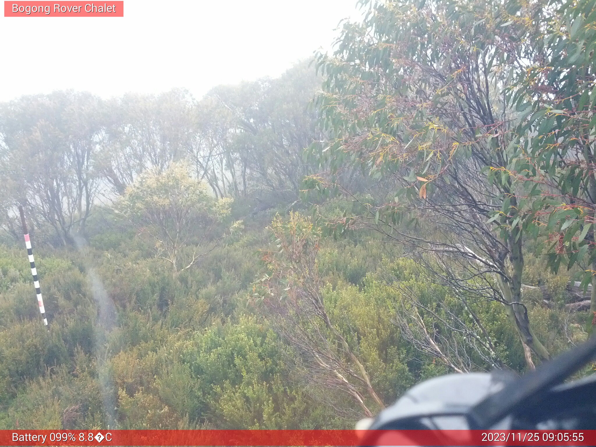 Bogong Web Cam 9:05am Saturday 25th of November 2023