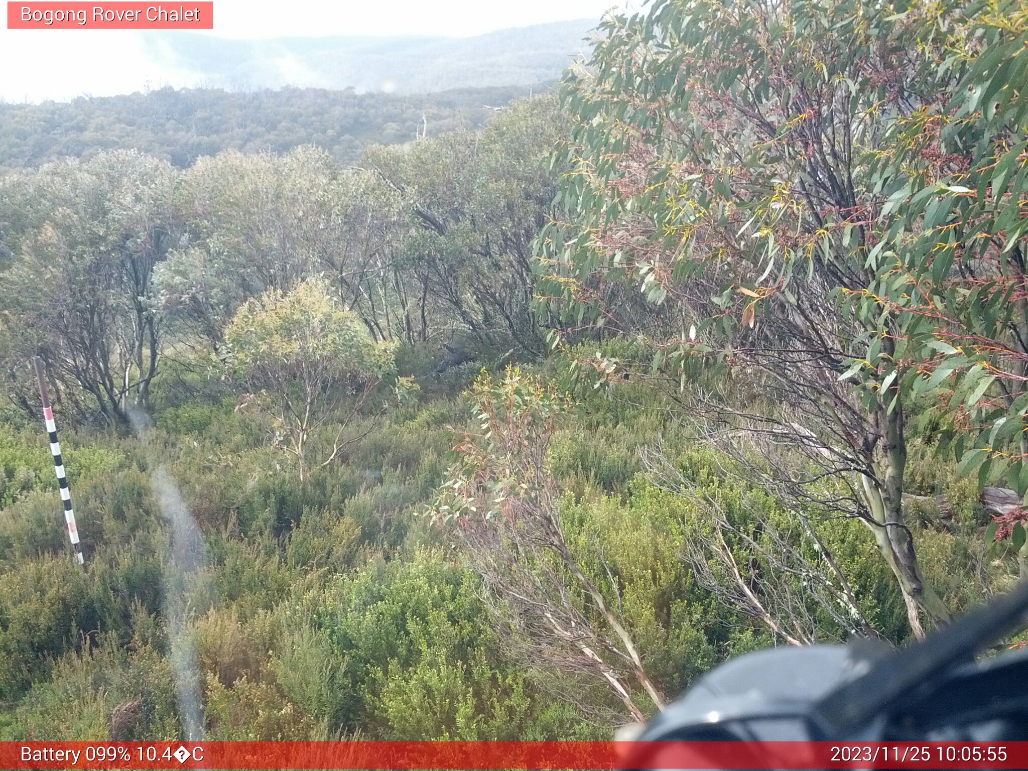 Bogong Web Cam 10:05am Saturday 25th of November 2023