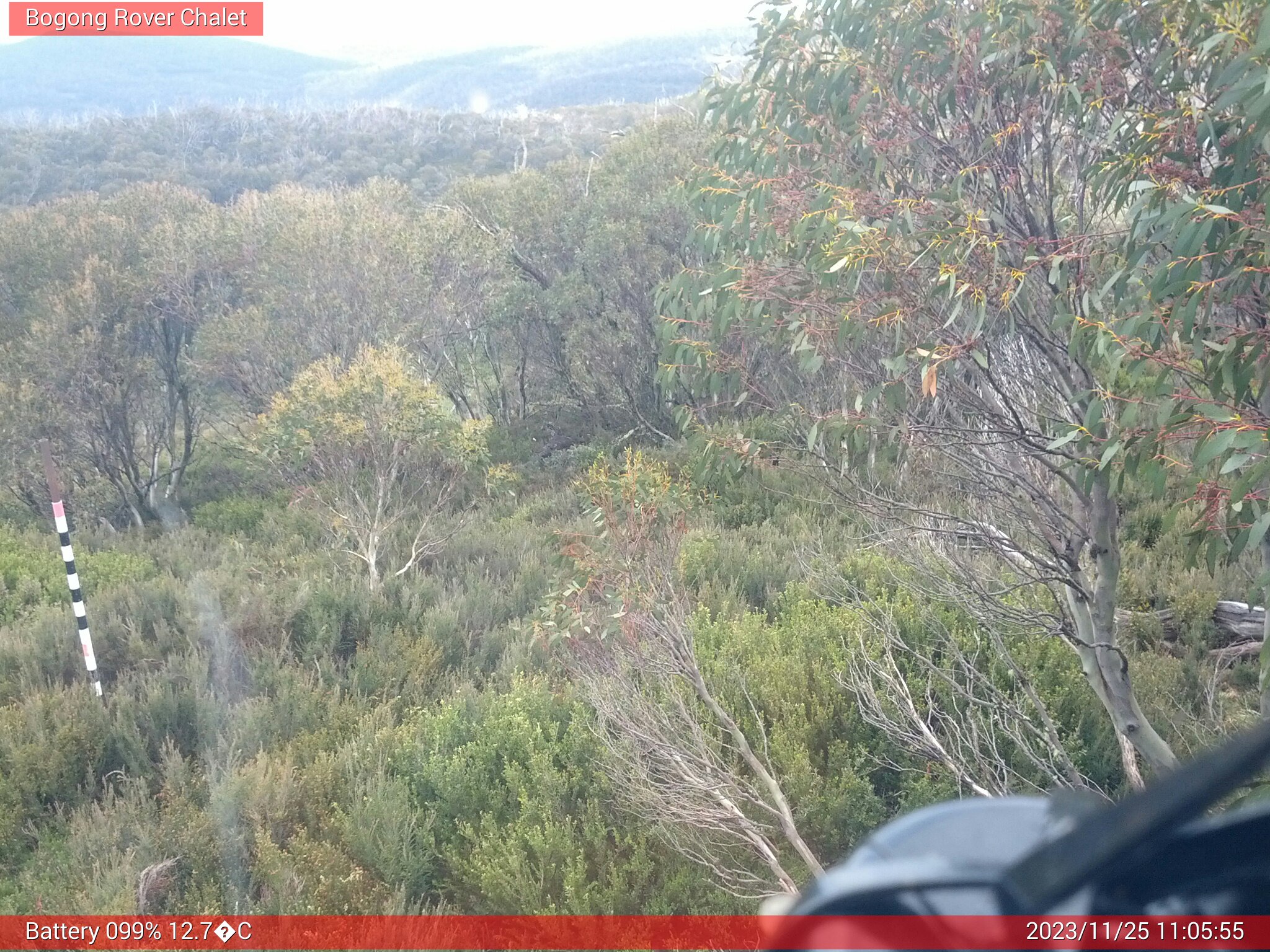 Bogong Web Cam 11:05am Saturday 25th of November 2023