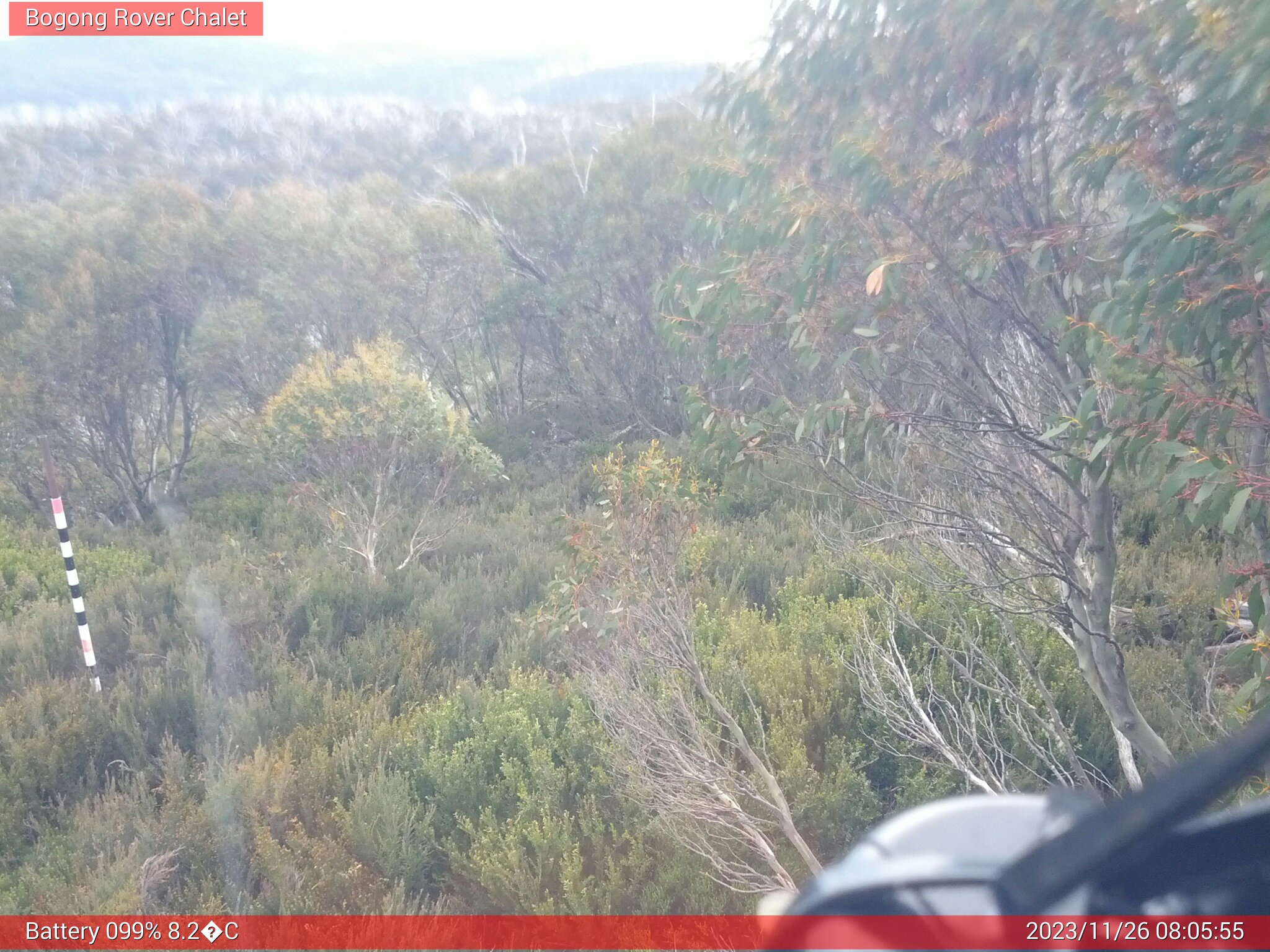 Bogong Web Cam 8:05am Sunday 26th of November 2023