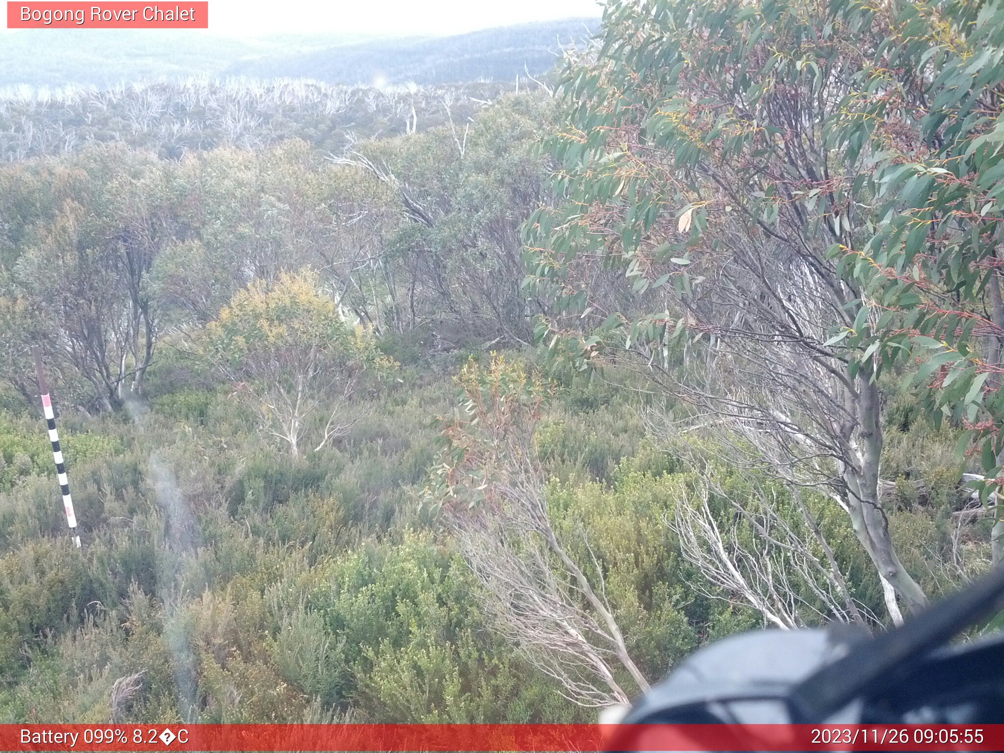 Bogong Web Cam 9:05am Sunday 26th of November 2023