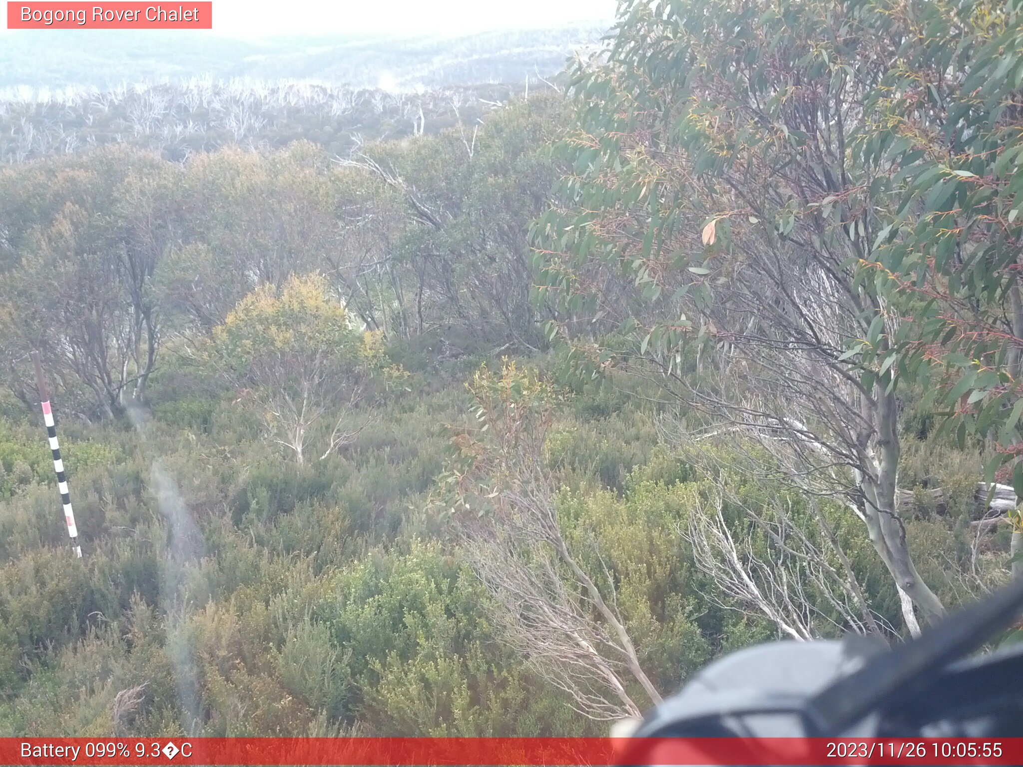 Bogong Web Cam 10:05am Sunday 26th of November 2023