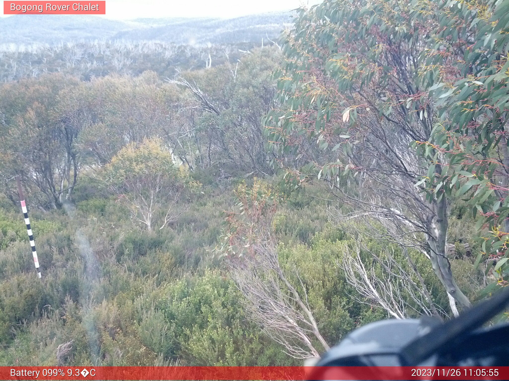 Bogong Web Cam 11:05am Sunday 26th of November 2023