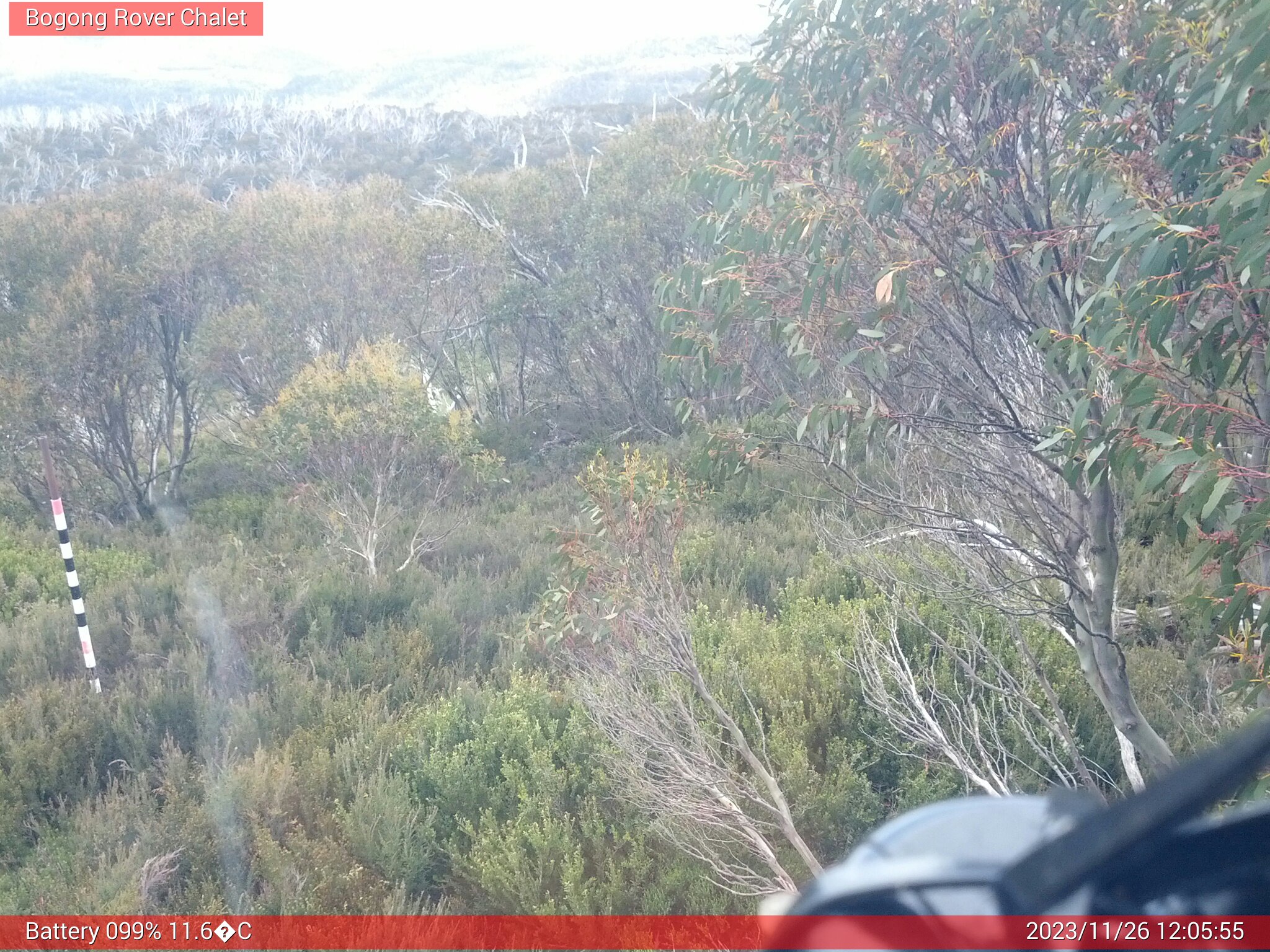 Bogong Web Cam 12:05pm Sunday 26th of November 2023