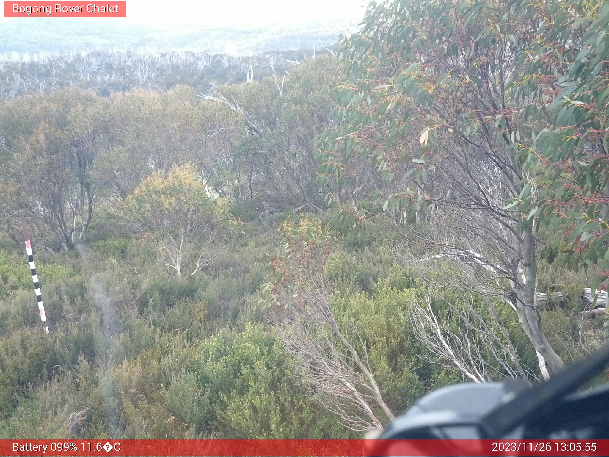 Bogong Web Cam 1:05pm Sunday 26th of November 2023