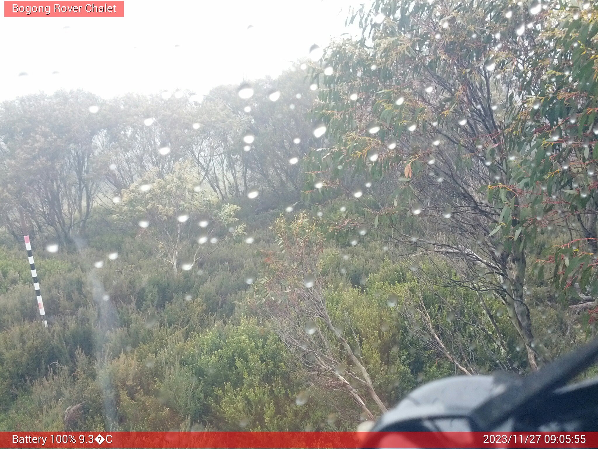 Bogong Web Cam 9:05am Monday 27th of November 2023