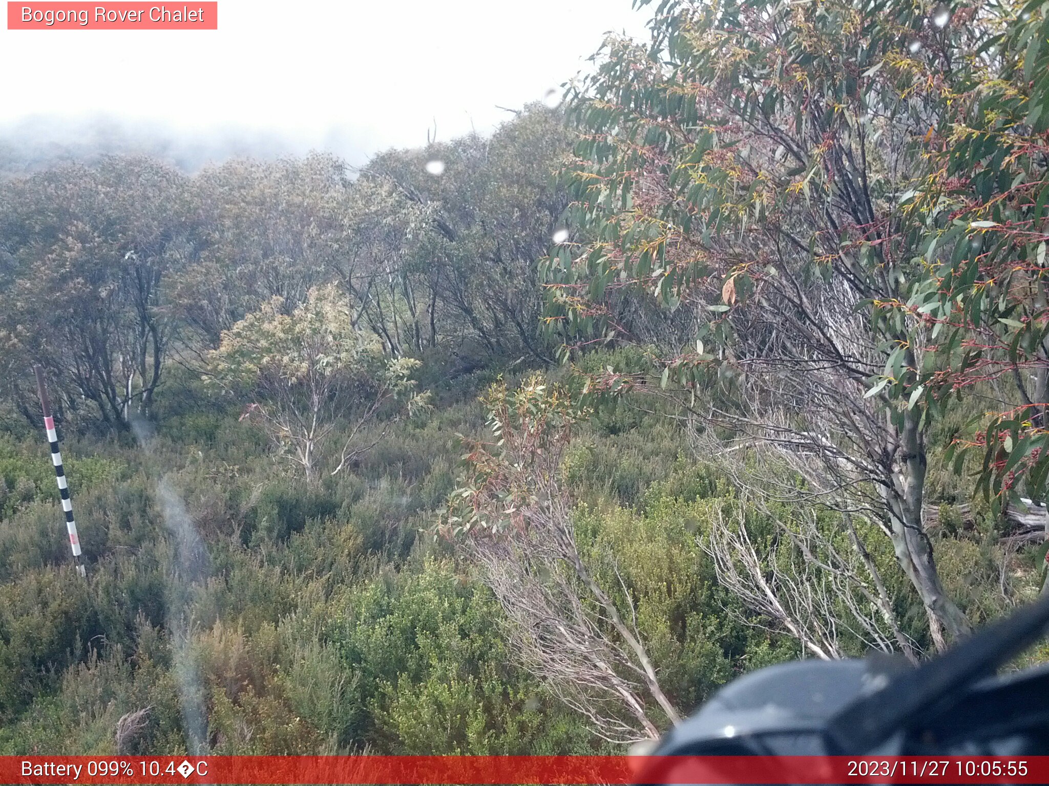 Bogong Web Cam 10:05am Monday 27th of November 2023