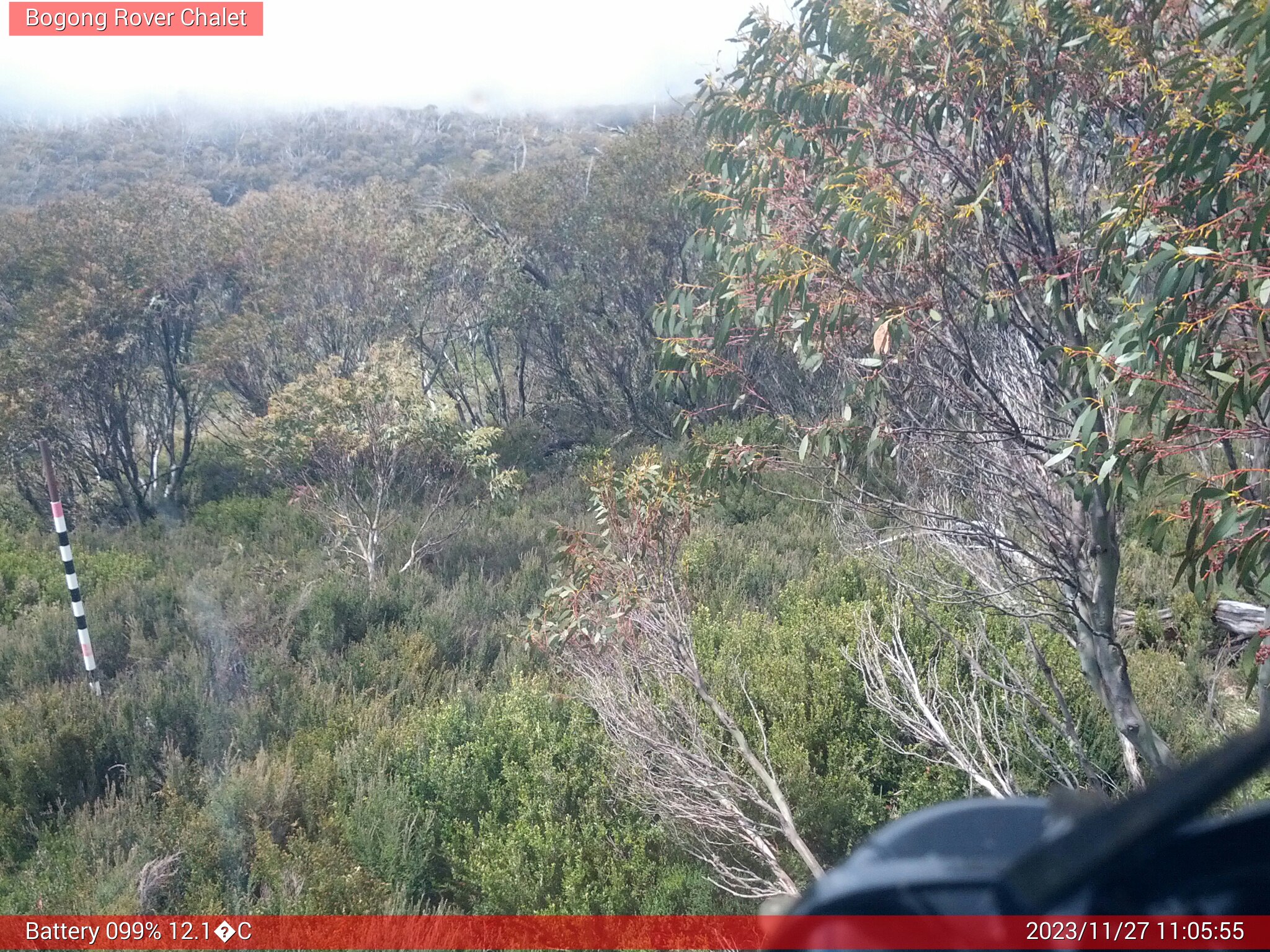 Bogong Web Cam 11:05am Monday 27th of November 2023