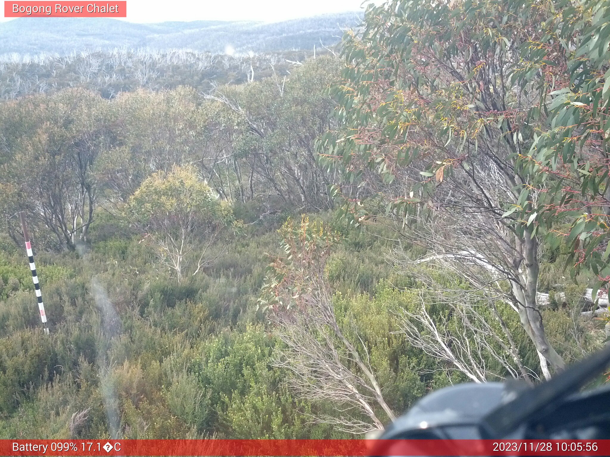 Bogong Web Cam 10:05am Tuesday 28th of November 2023