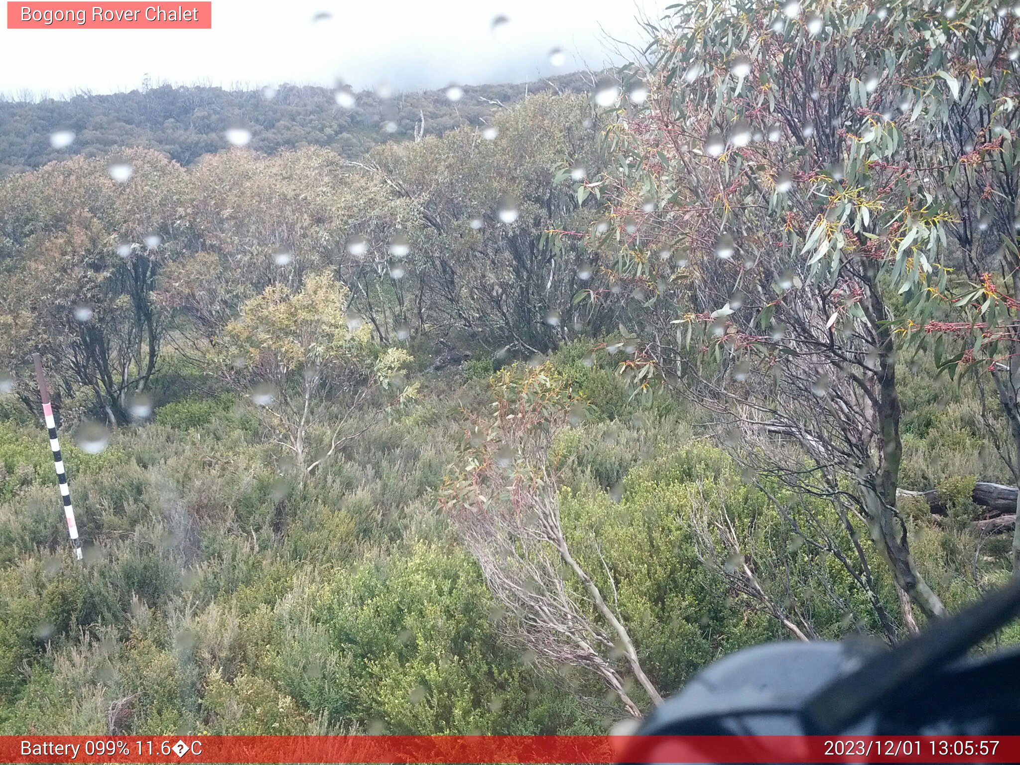 Bogong Web Cam 1:05pm Friday 1st of December 2023