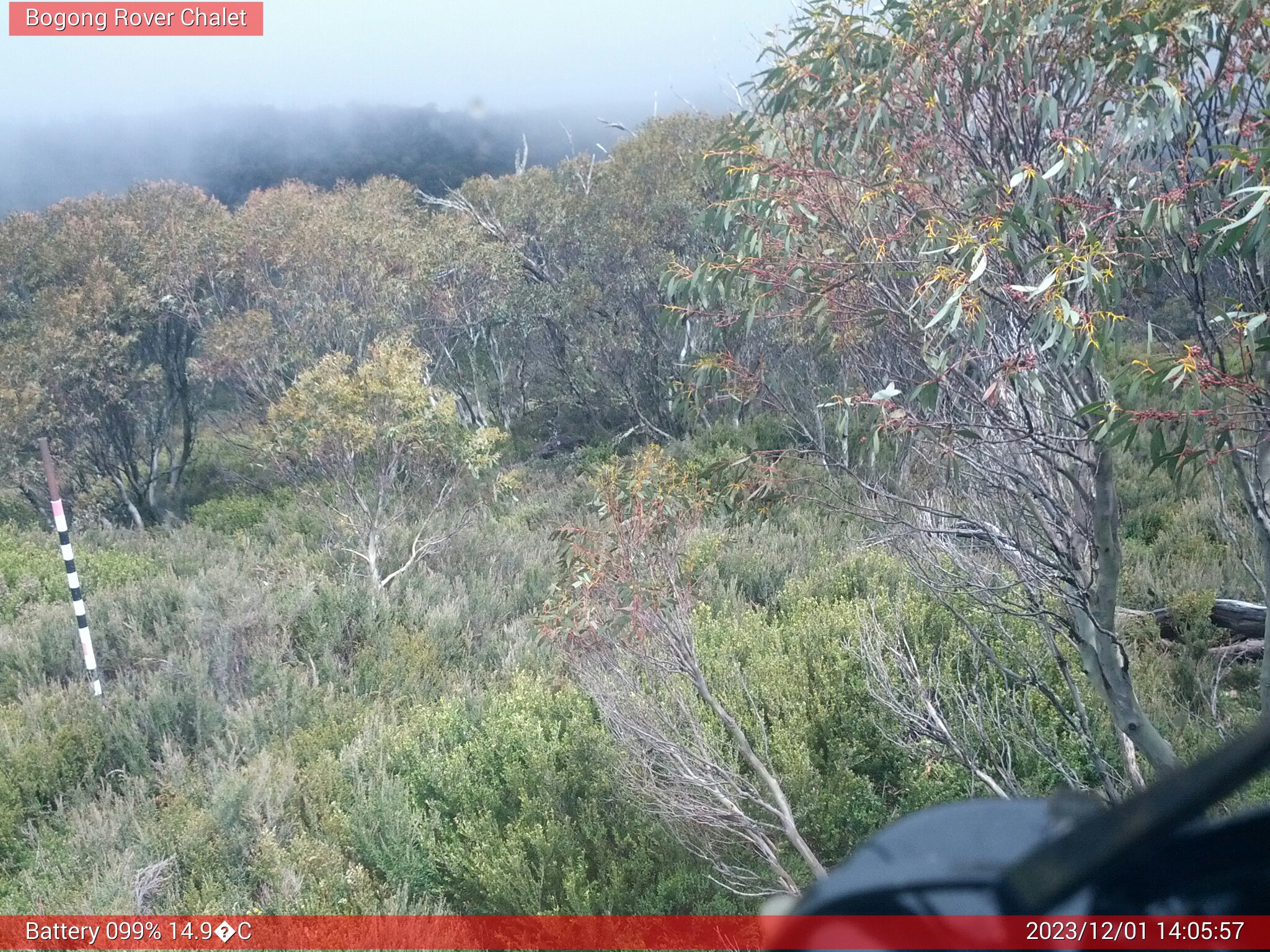 Bogong Web Cam 2:05pm Friday 1st of December 2023