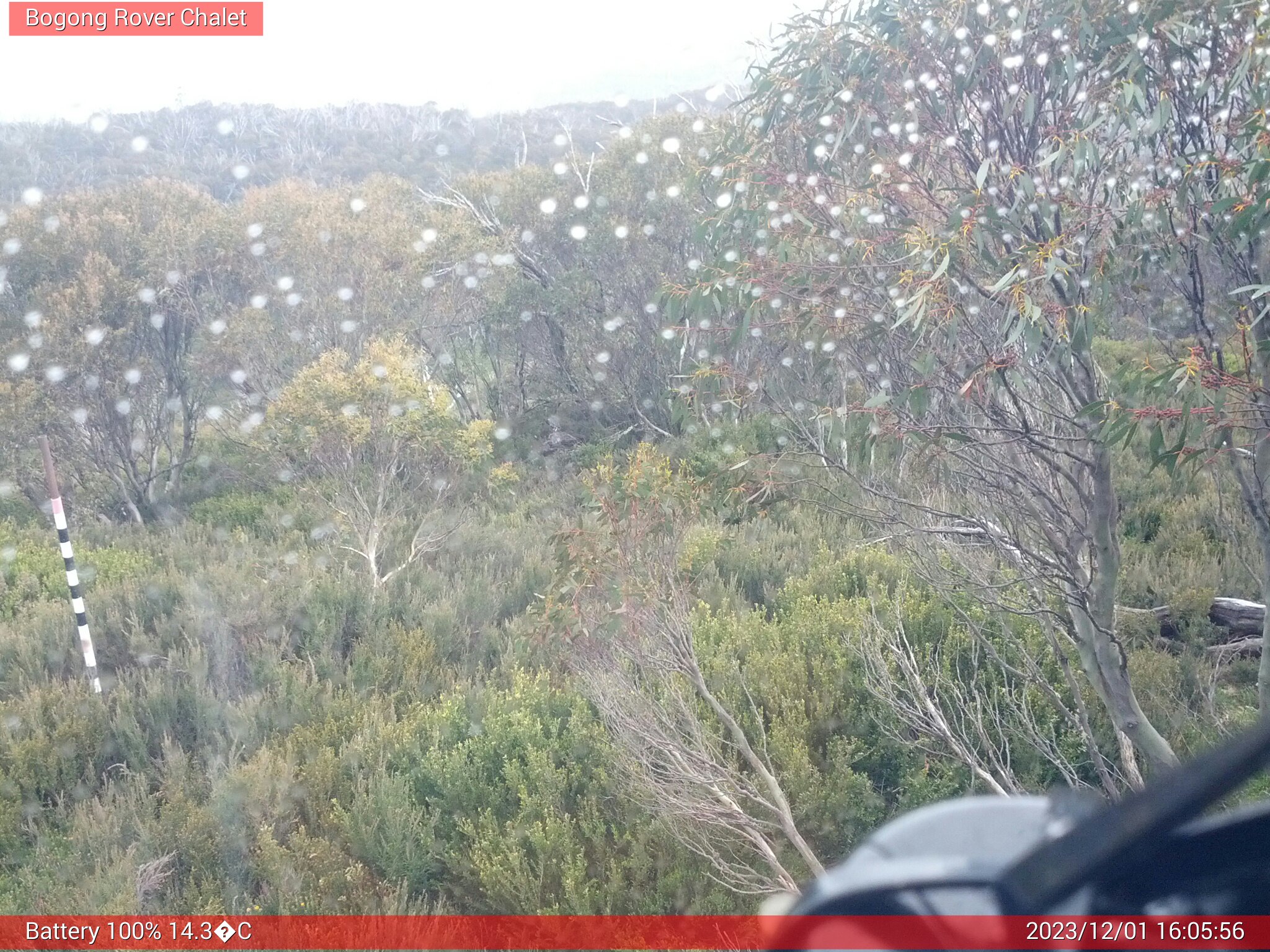 Bogong Web Cam 4:05pm Friday 1st of December 2023