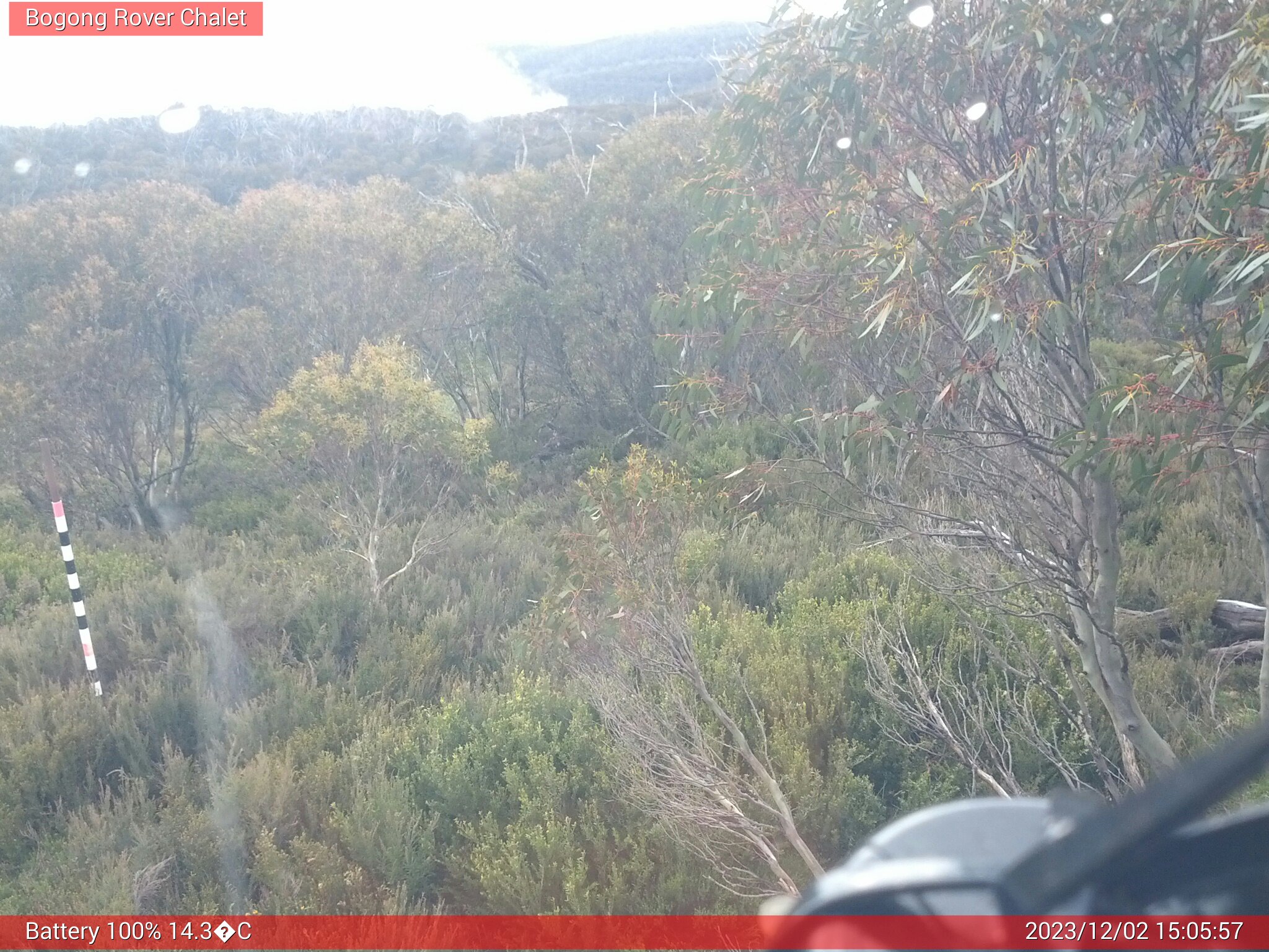 Bogong Web Cam 3:05pm Saturday 2nd of December 2023