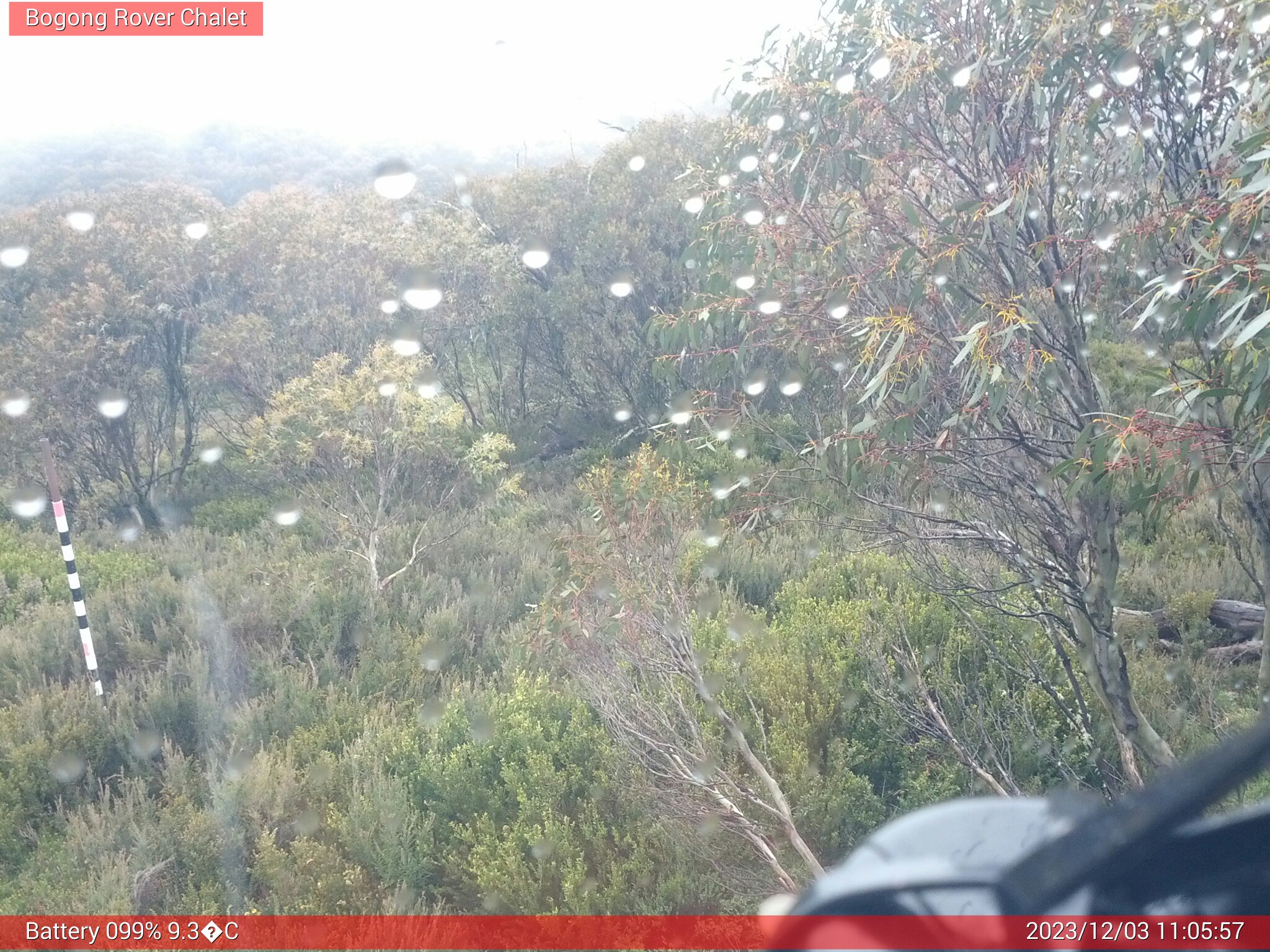 Bogong Web Cam 11:05am Sunday 3rd of December 2023