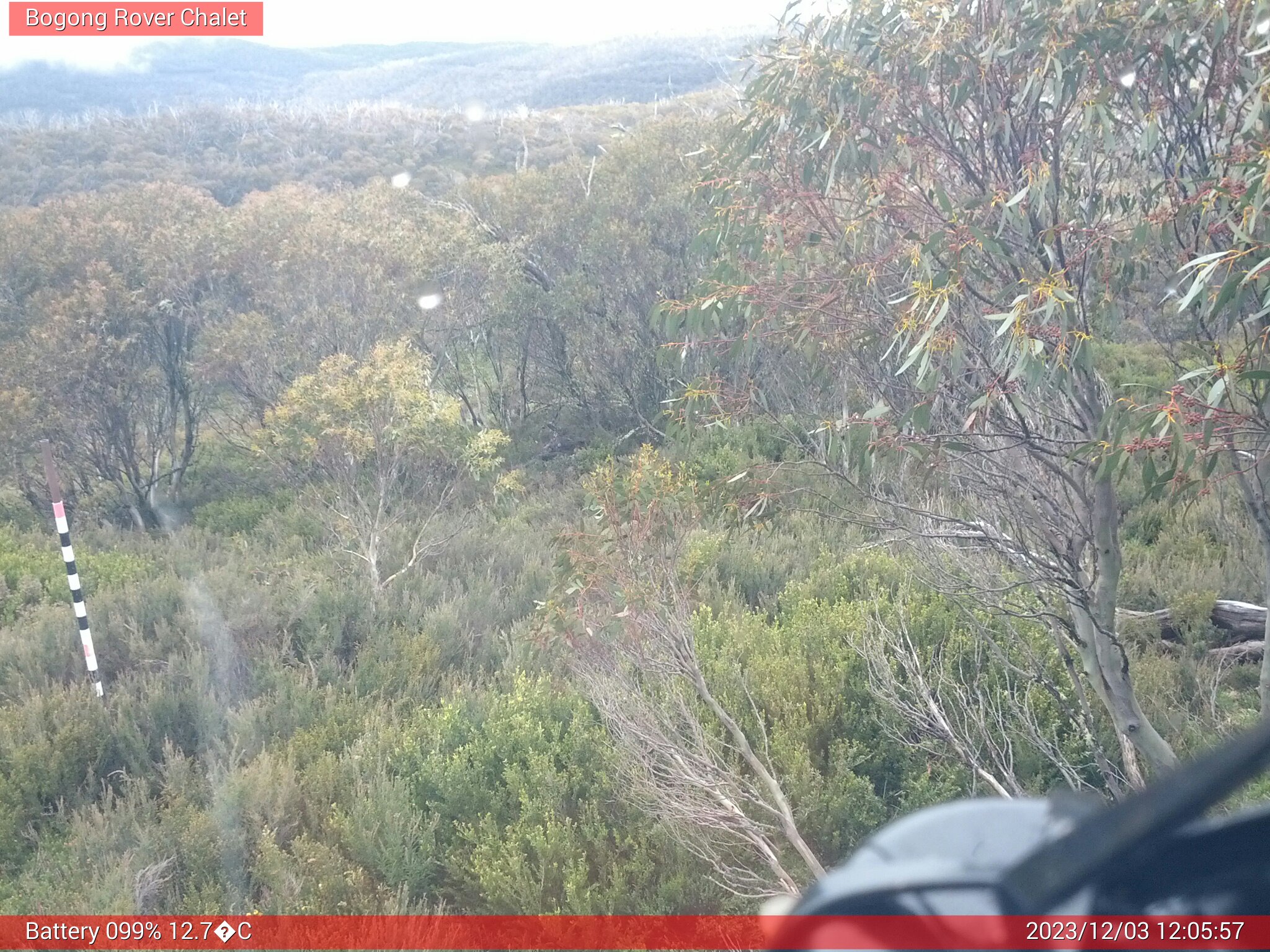 Bogong Web Cam 12:05pm Sunday 3rd of December 2023