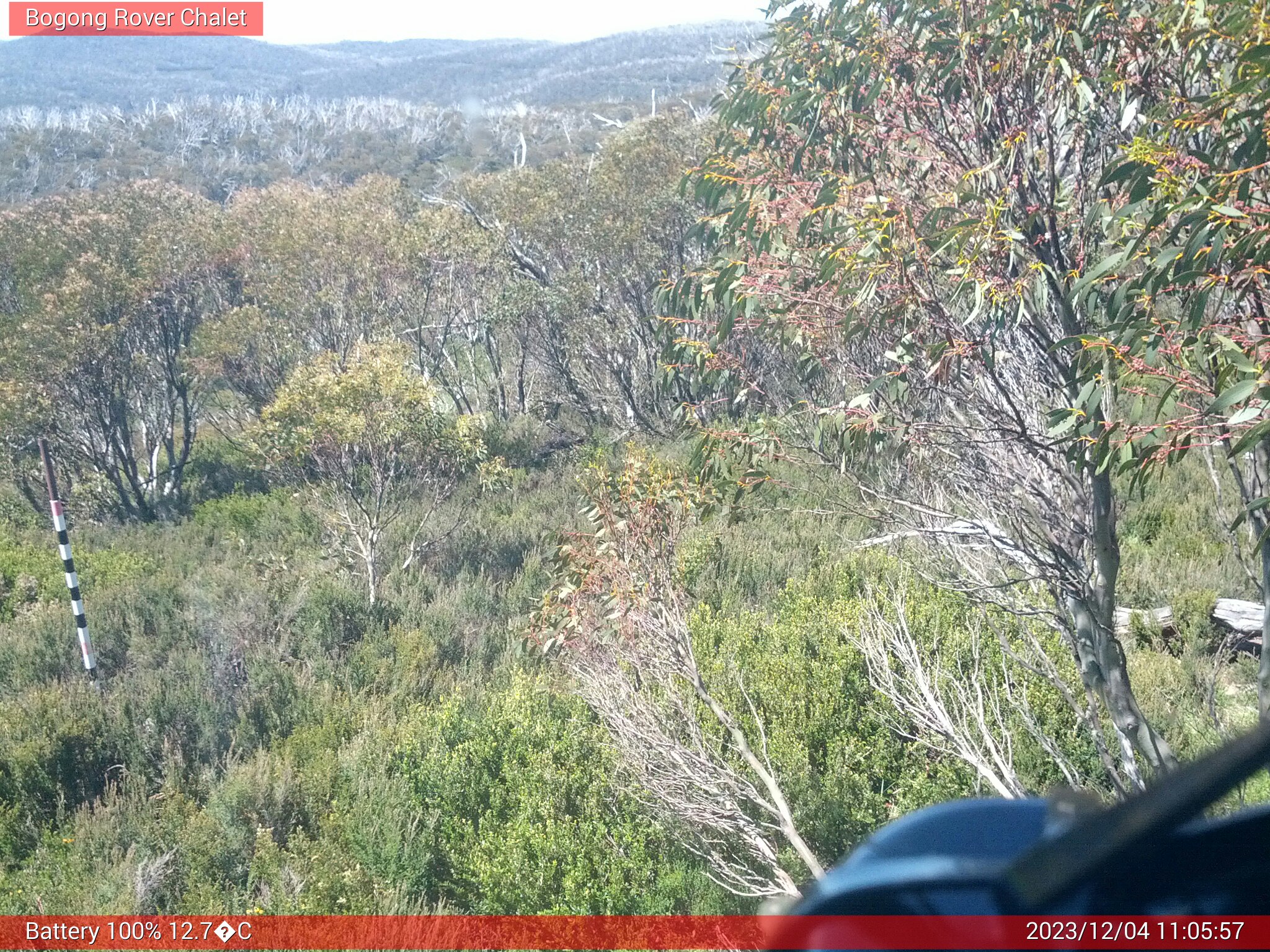 Bogong Web Cam 11:05am Monday 4th of December 2023