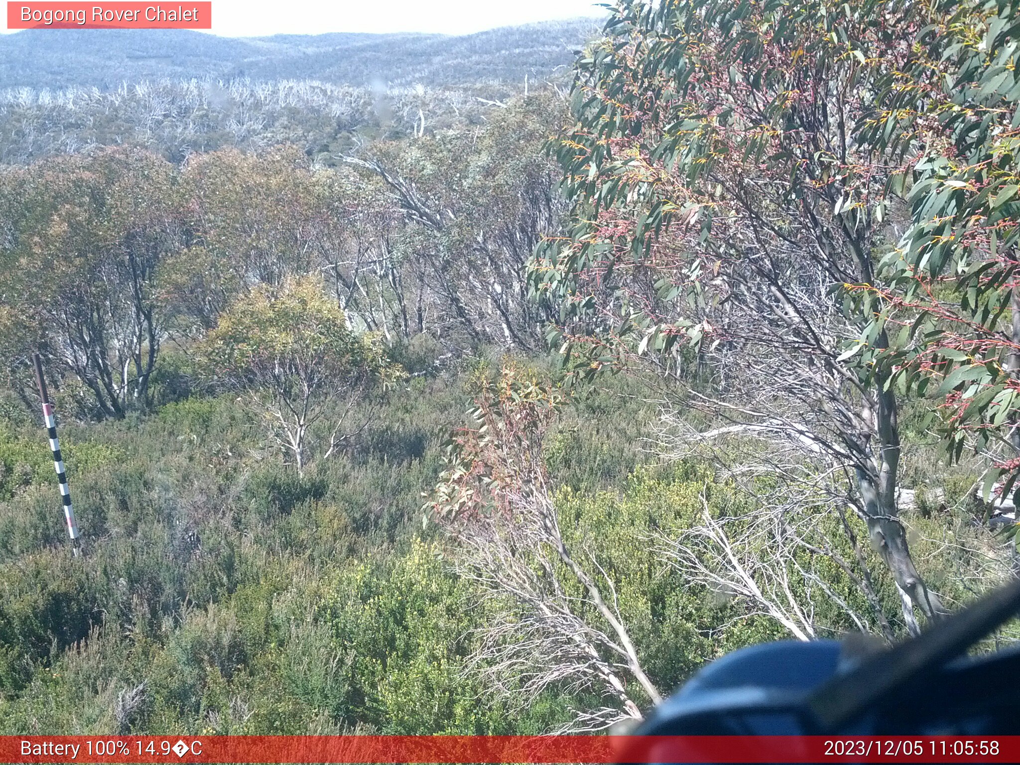 Bogong Web Cam 11:05am Tuesday 5th of December 2023