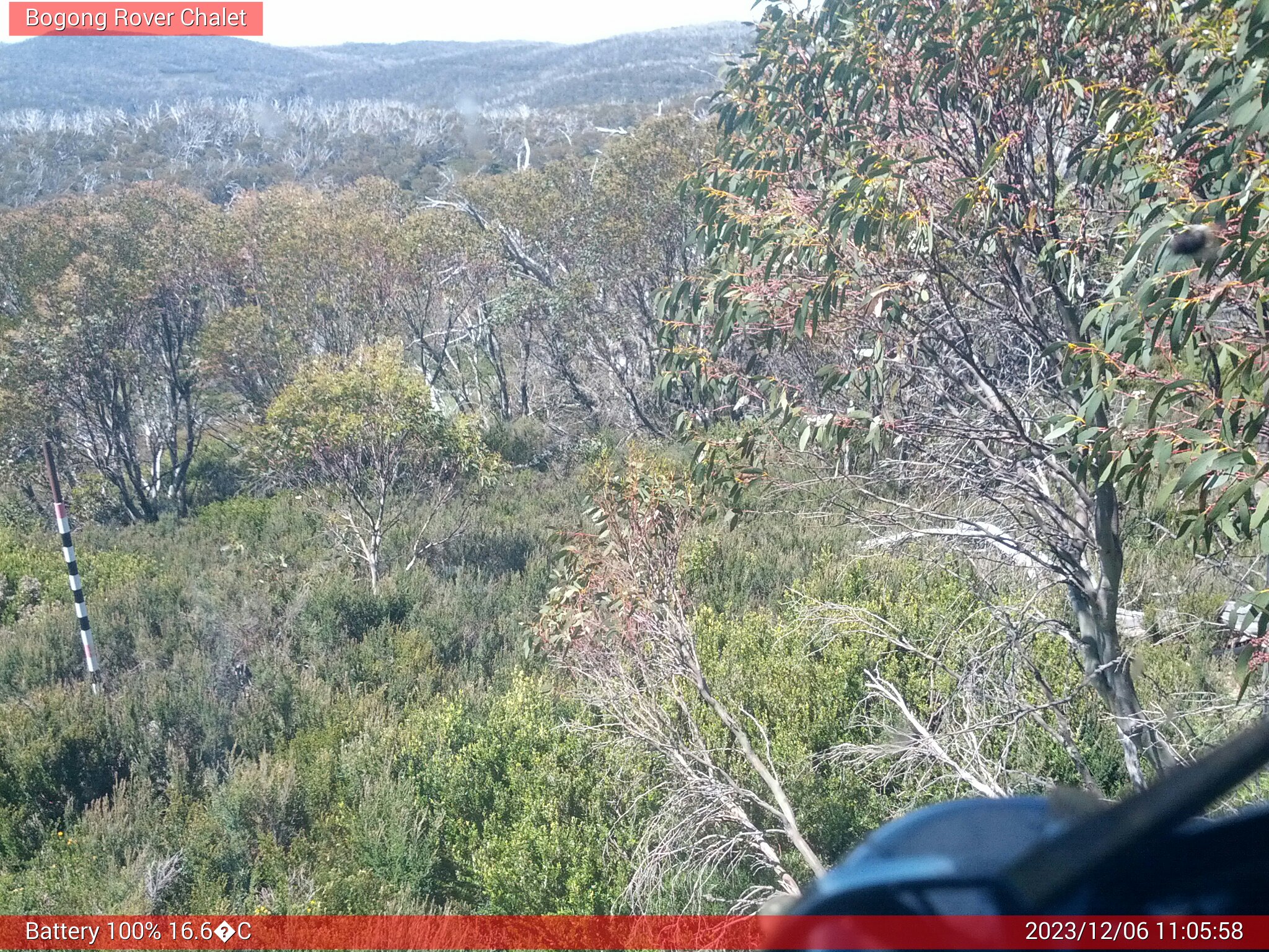 Bogong Web Cam 11:05am Wednesday 6th of December 2023