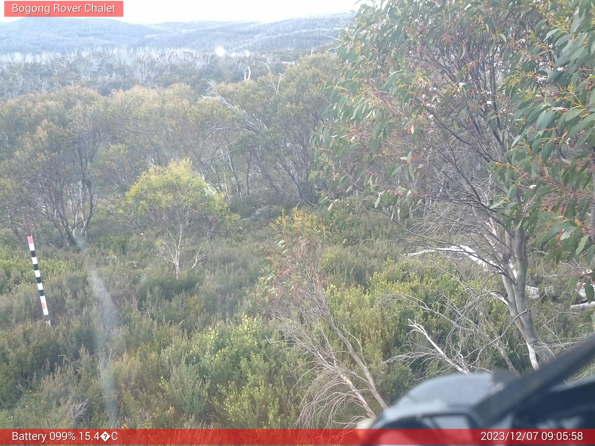 Bogong Web Cam 9:05am Thursday 7th of December 2023