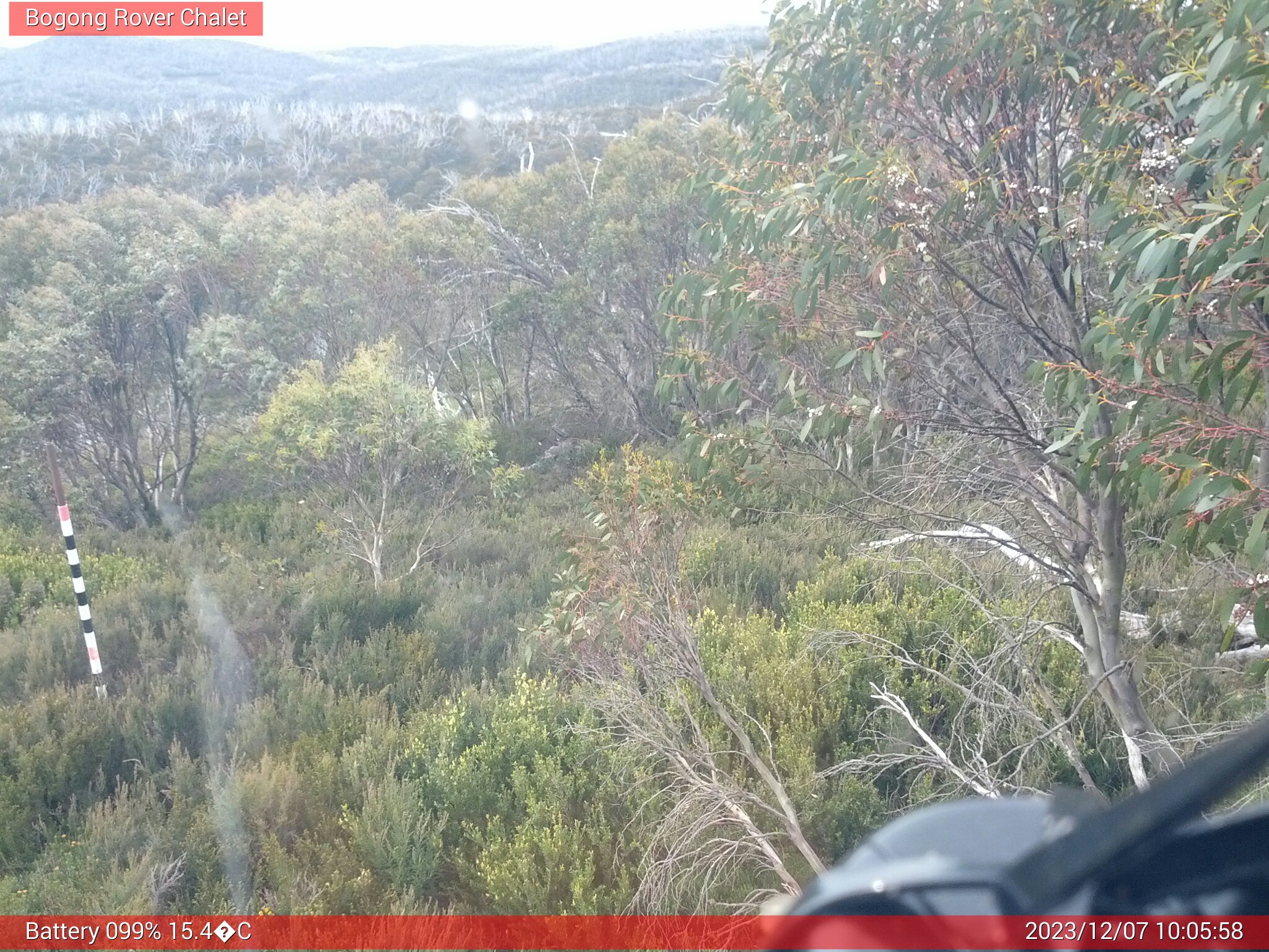 Bogong Web Cam 10:05am Thursday 7th of December 2023