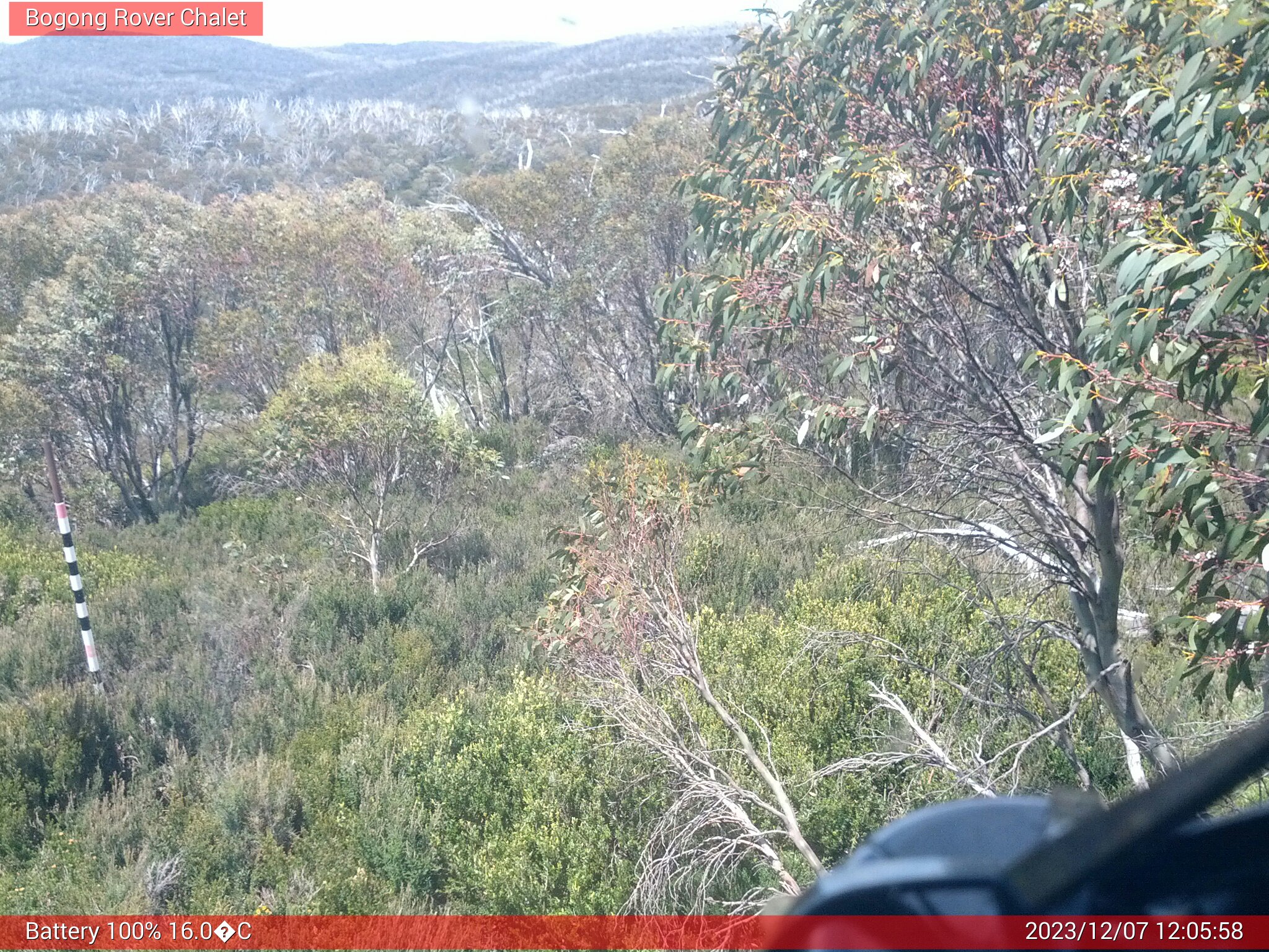 Bogong Web Cam 12:05pm Thursday 7th of December 2023