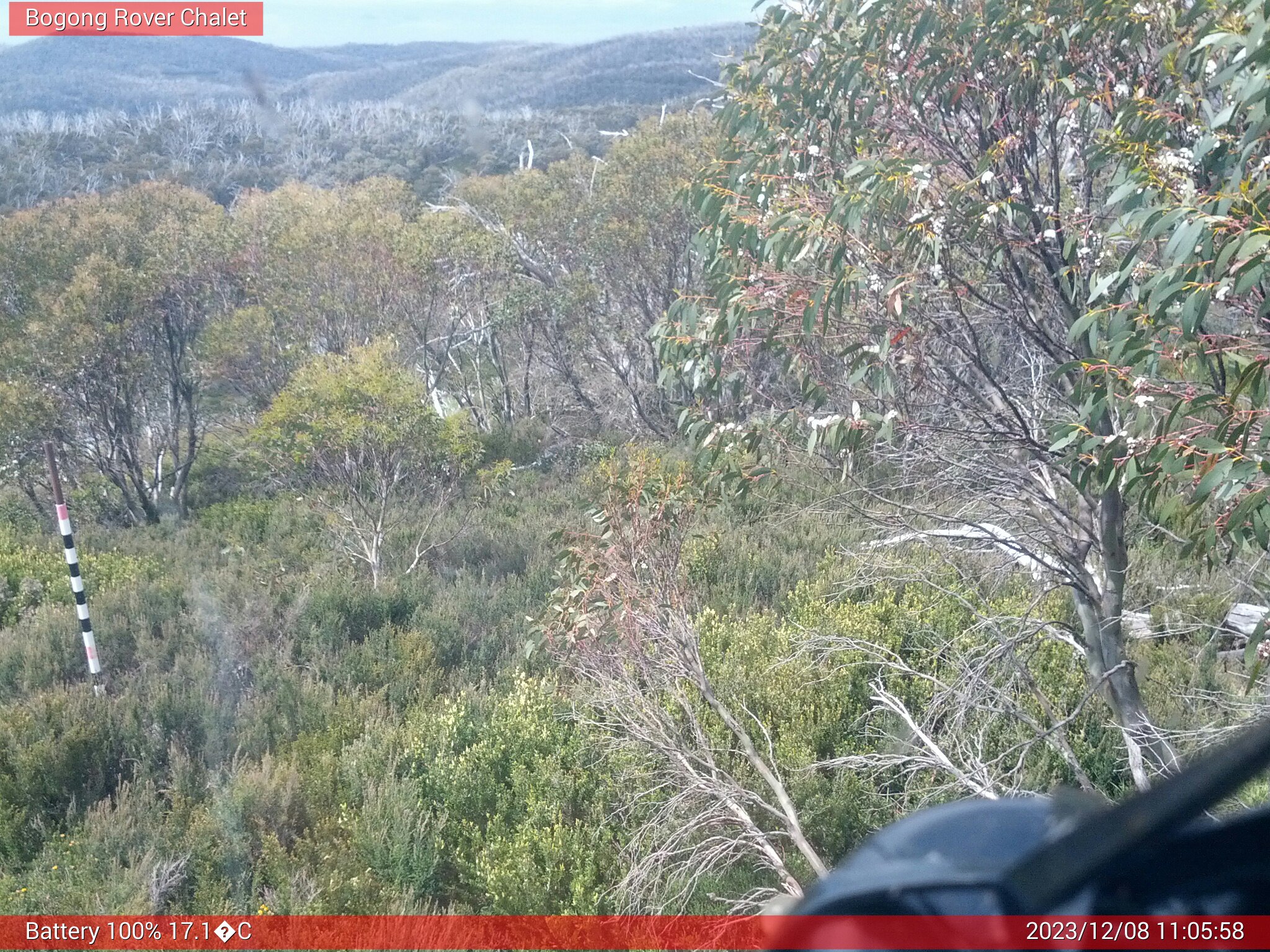 Bogong Web Cam 11:05am Friday 8th of December 2023