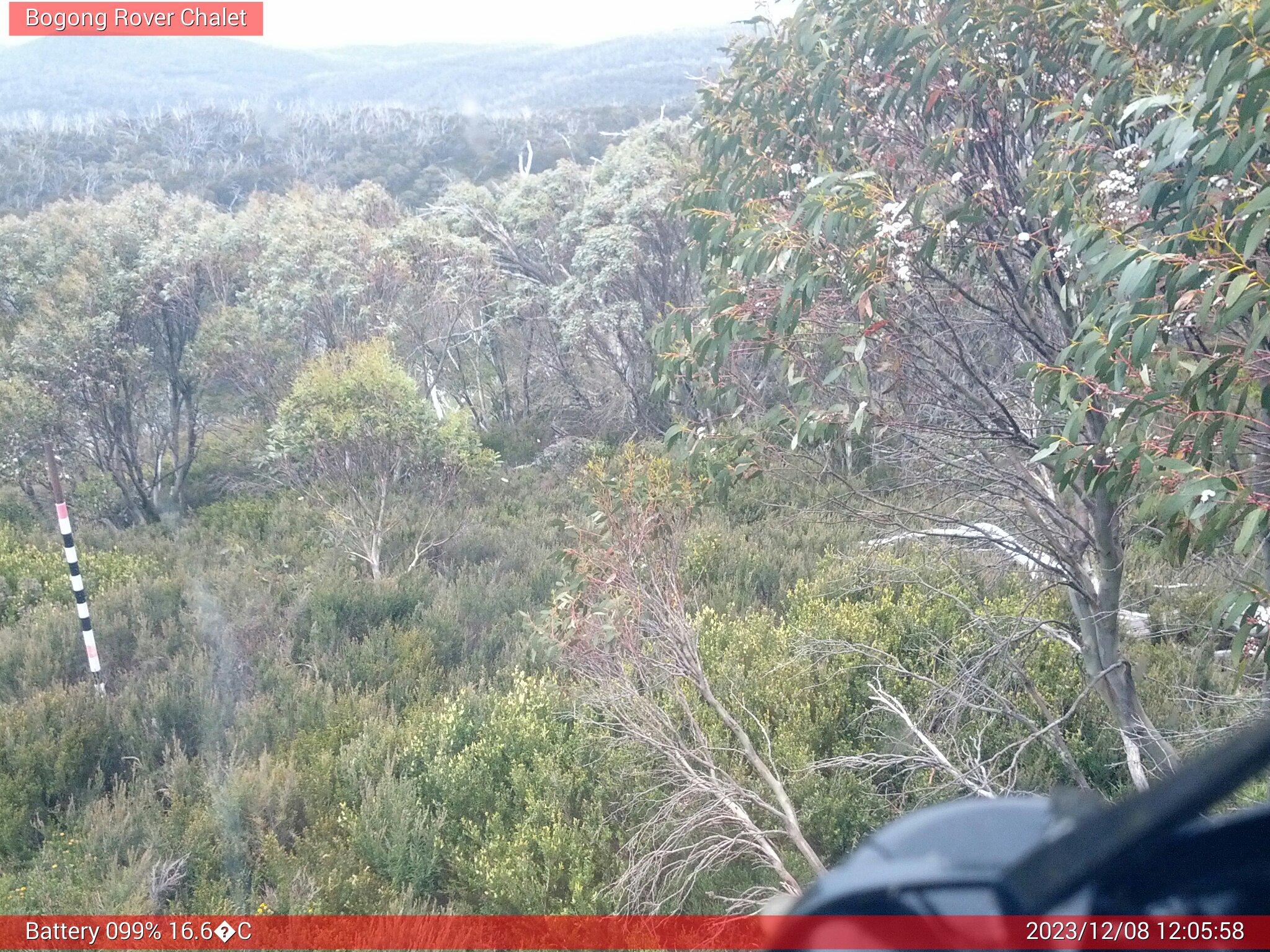 Bogong Web Cam 12:05pm Friday 8th of December 2023