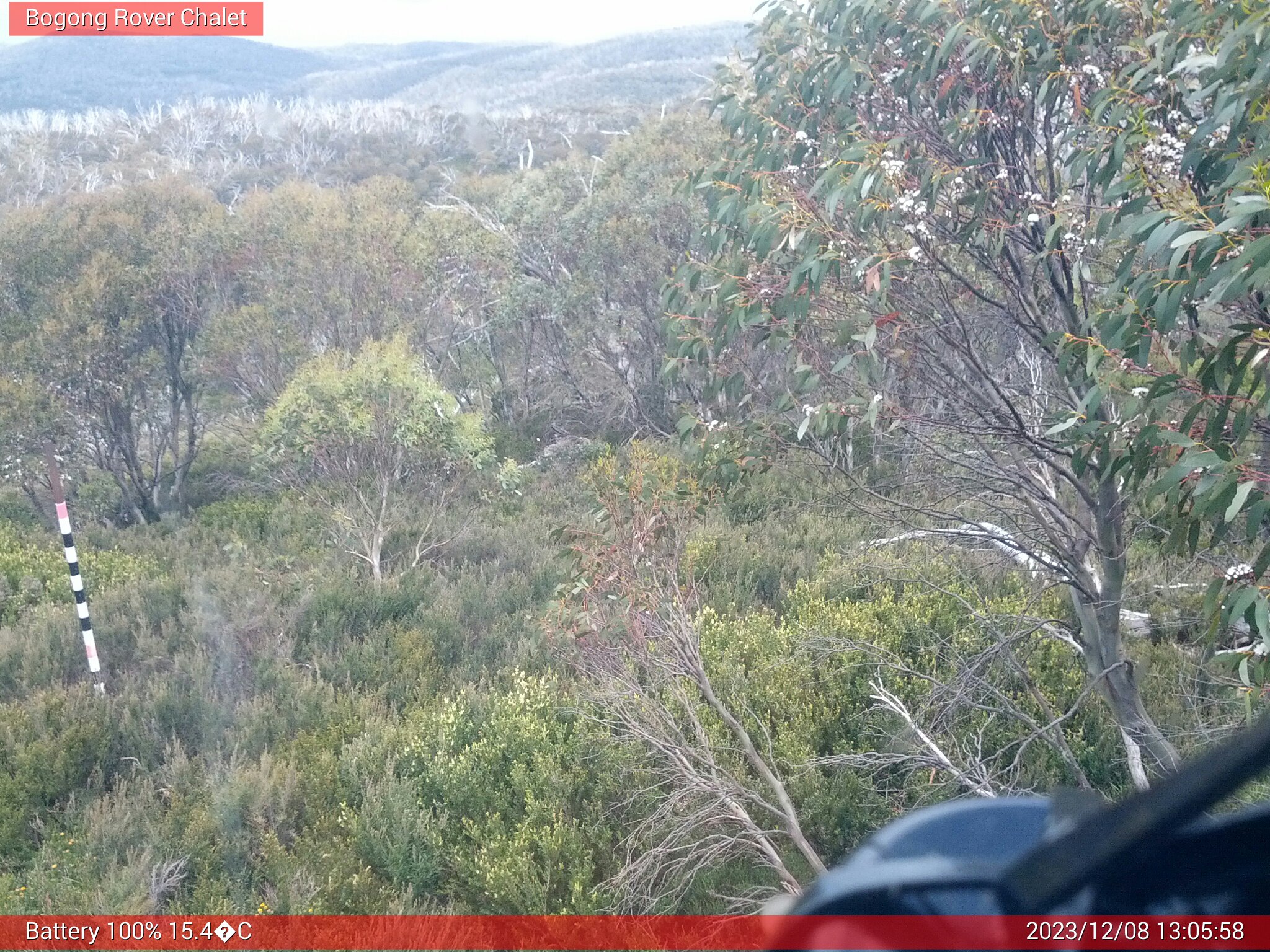 Bogong Web Cam 1:05pm Friday 8th of December 2023