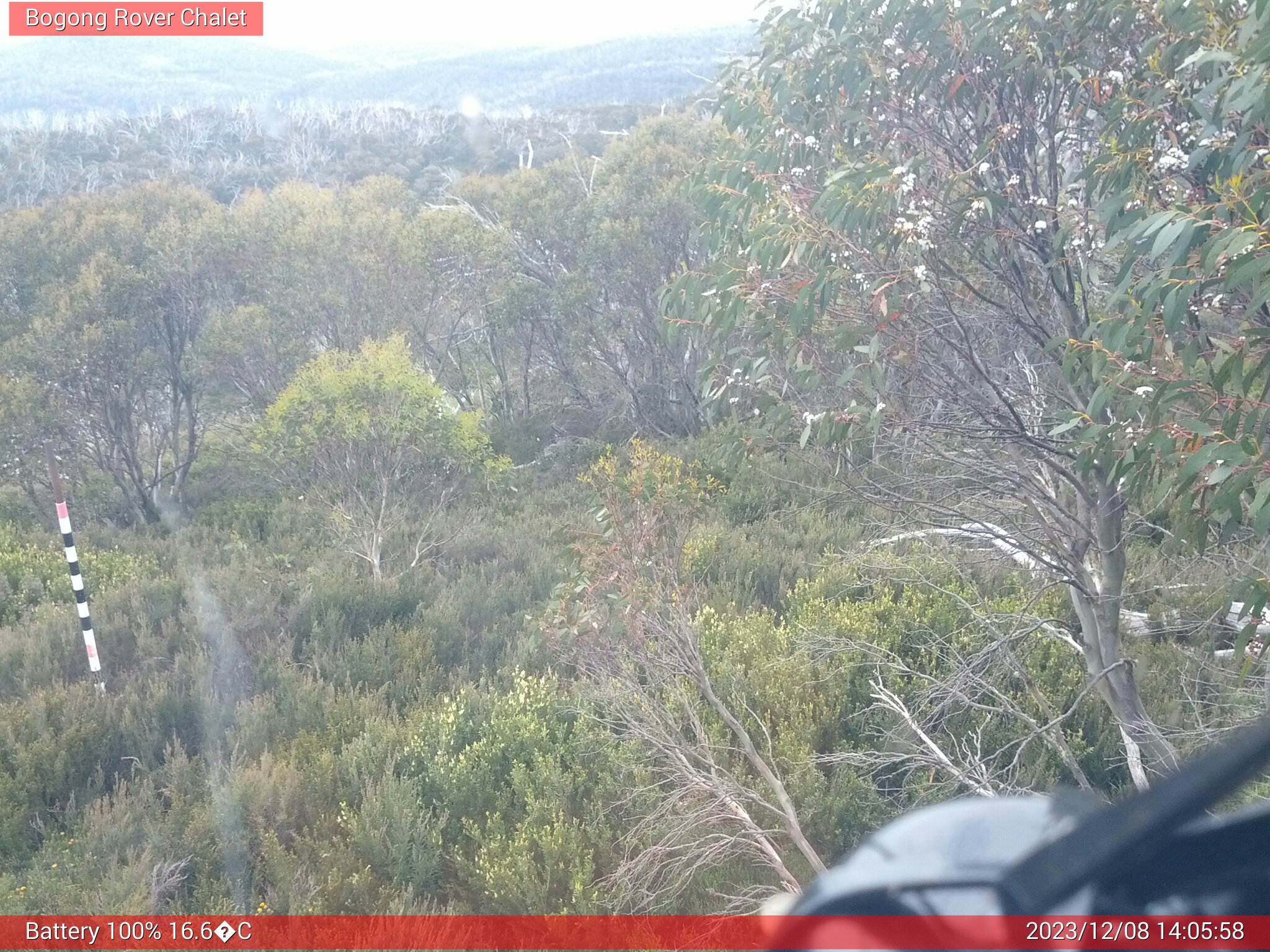 Bogong Web Cam 2:05pm Friday 8th of December 2023