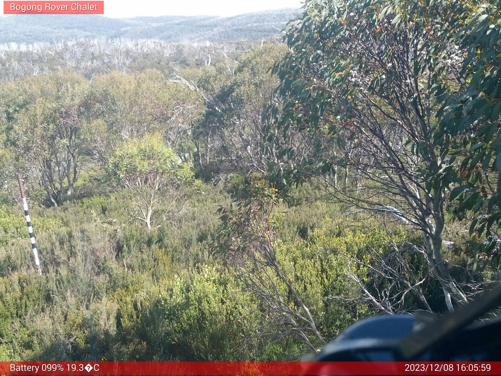 Bogong Web Cam 4:05pm Friday 8th of December 2023