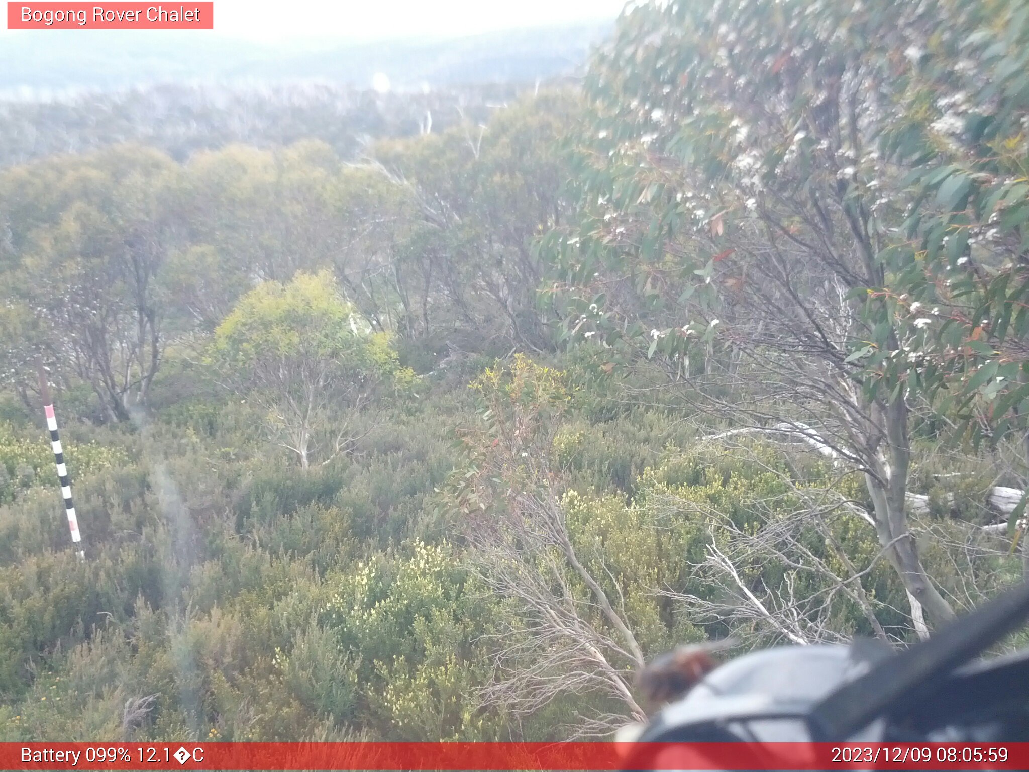 Bogong Web Cam 8:05am Saturday 9th of December 2023