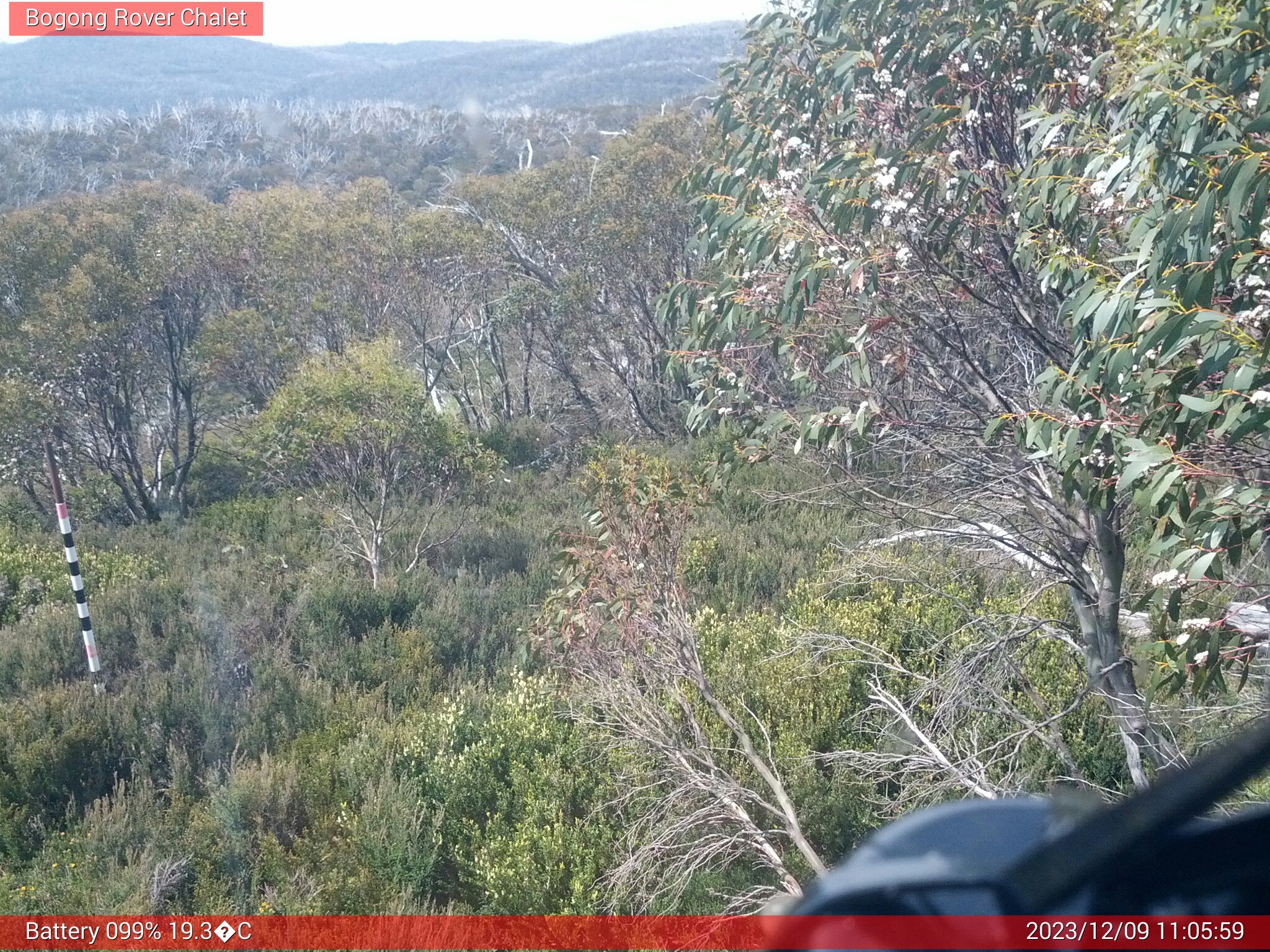 Bogong Web Cam 11:05am Saturday 9th of December 2023