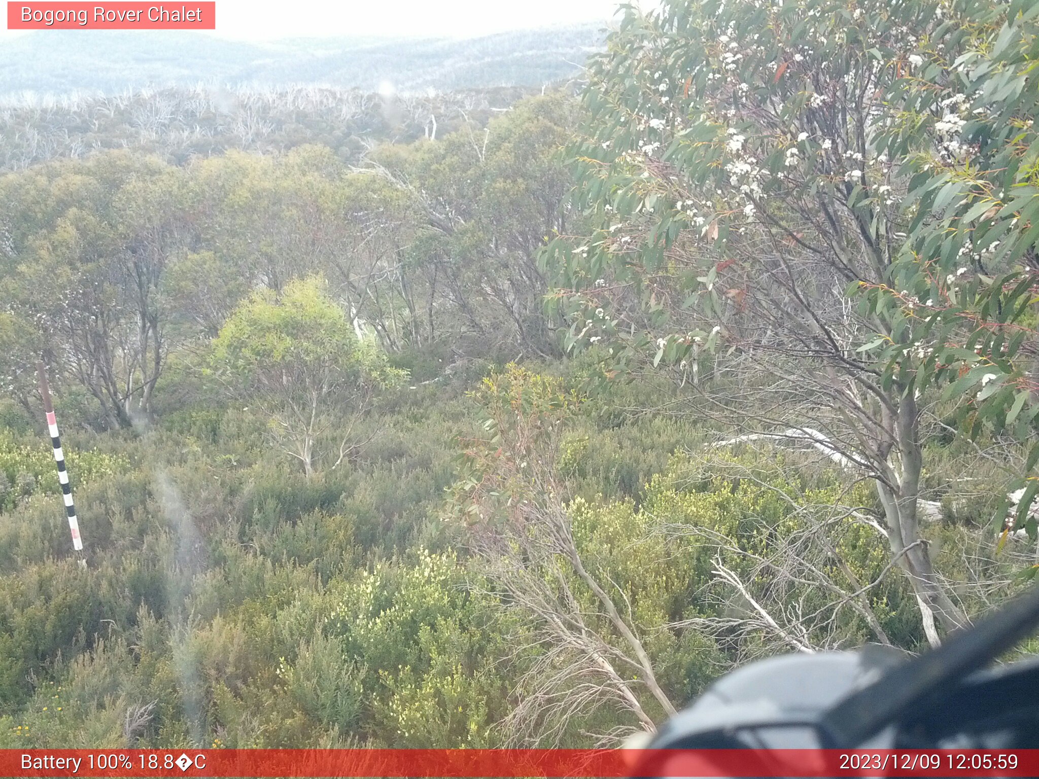 Bogong Web Cam 12:05pm Saturday 9th of December 2023