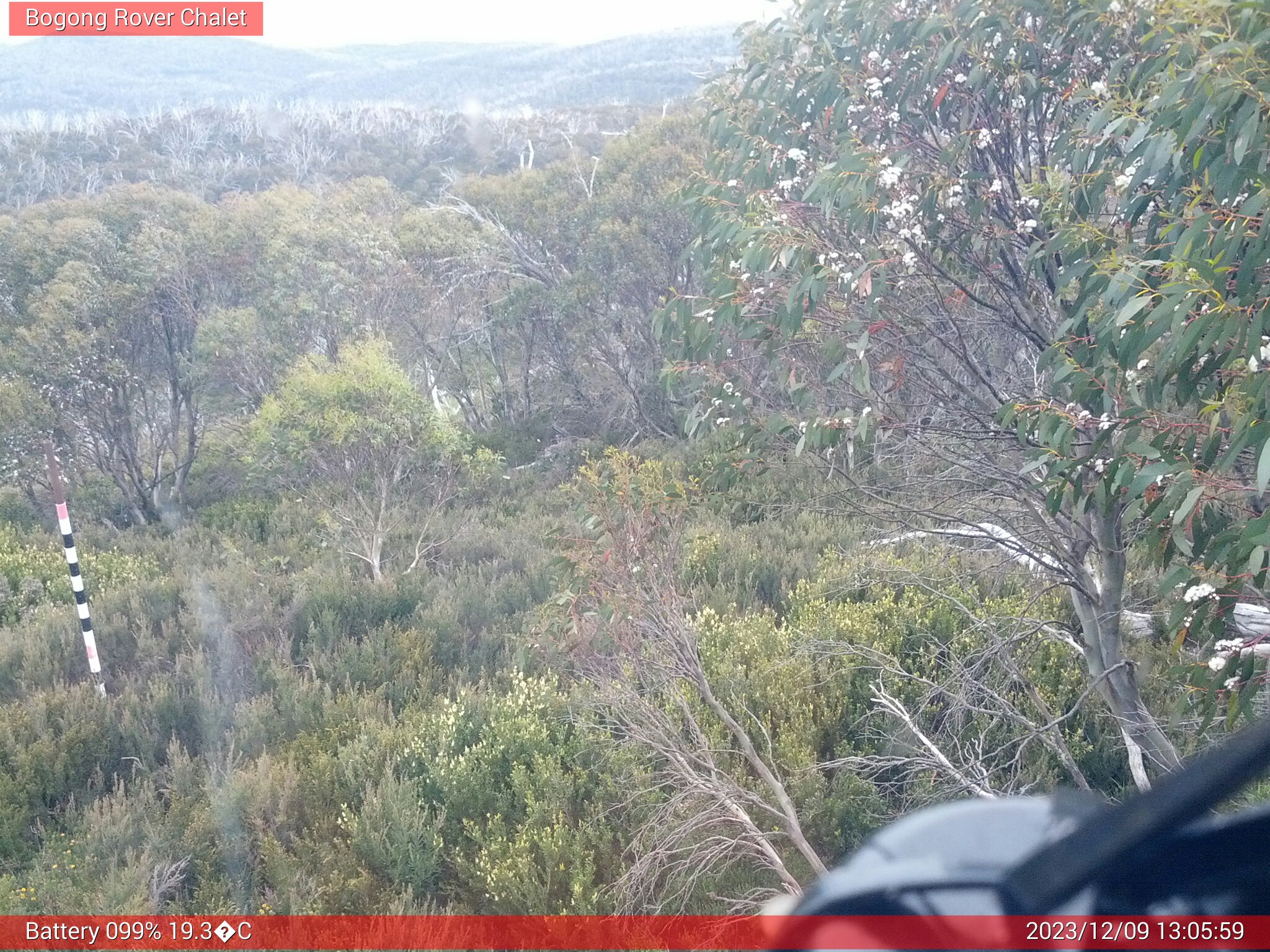 Bogong Web Cam 1:05pm Saturday 9th of December 2023