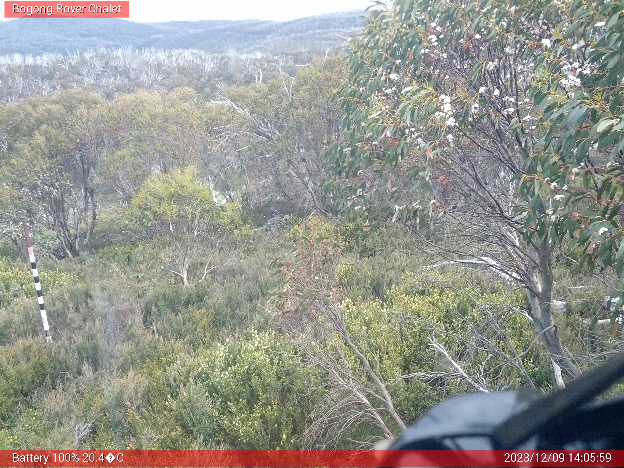 Bogong Web Cam 2:05pm Saturday 9th of December 2023