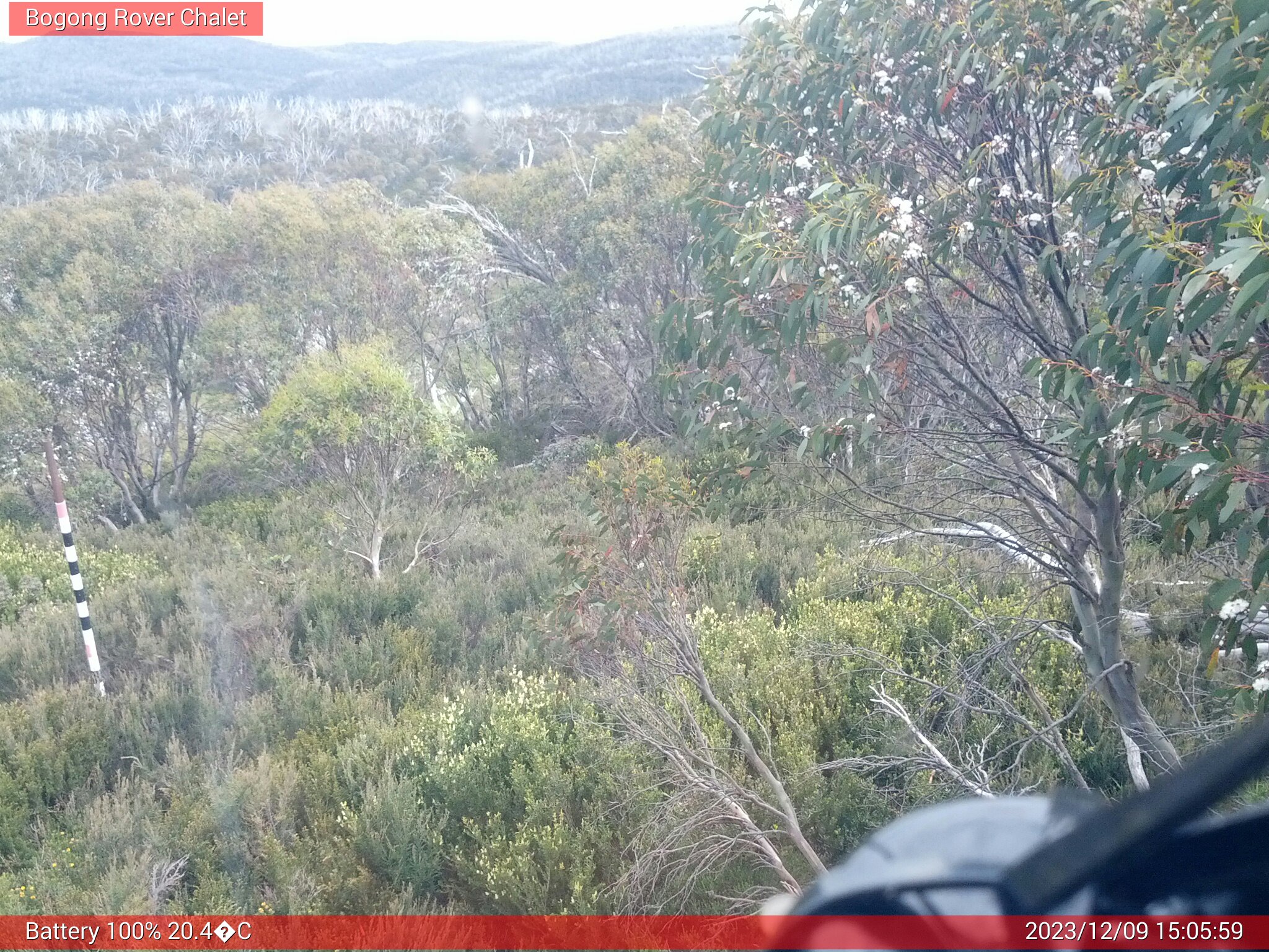 Bogong Web Cam 3:05pm Saturday 9th of December 2023