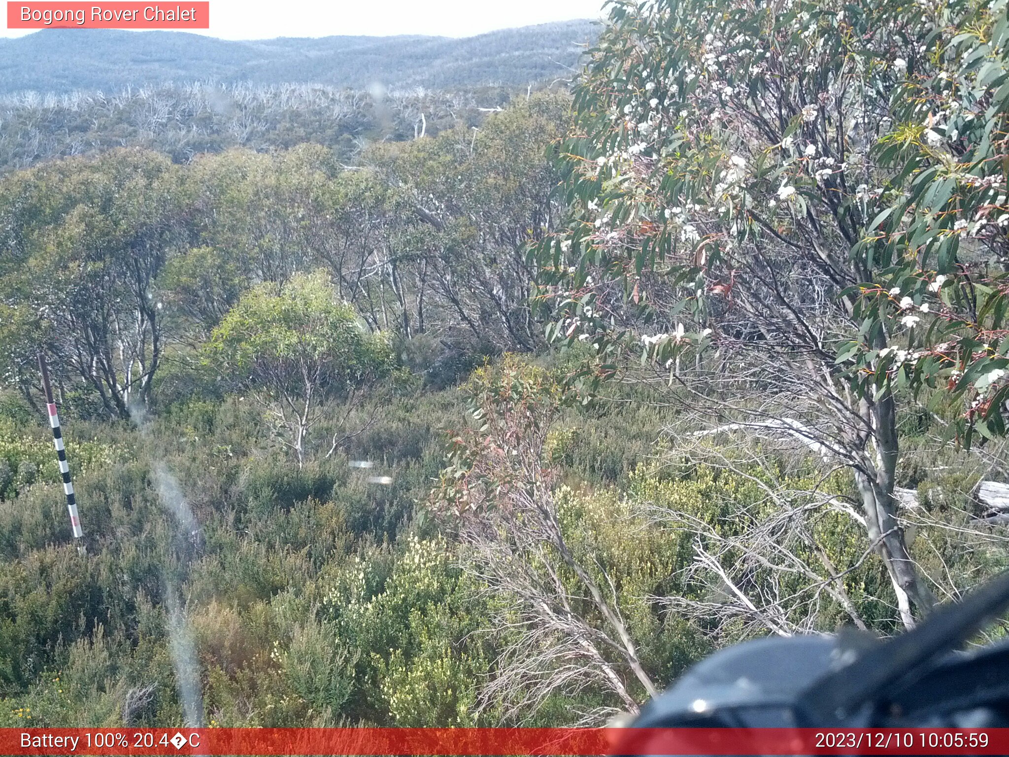 Bogong Web Cam 10:05am Sunday 10th of December 2023