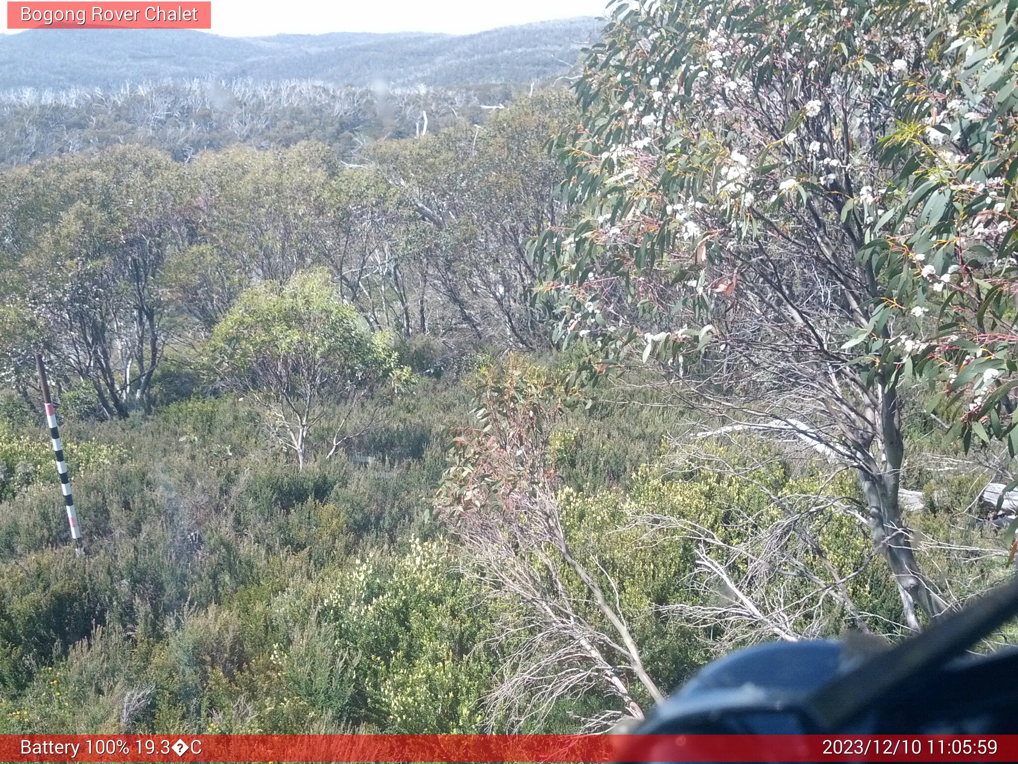 Bogong Web Cam 11:05am Sunday 10th of December 2023