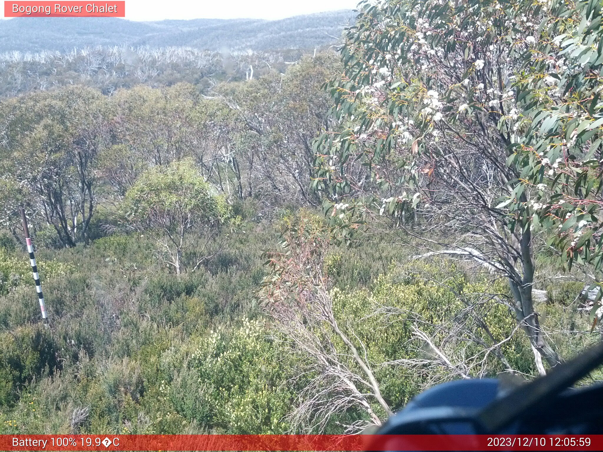 Bogong Web Cam 12:05pm Sunday 10th of December 2023