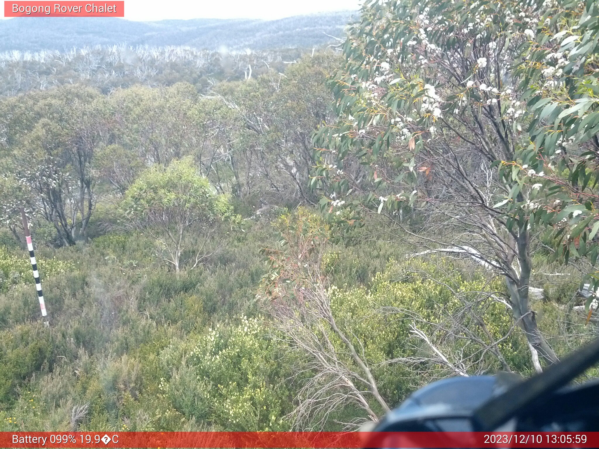 Bogong Web Cam 1:05pm Sunday 10th of December 2023