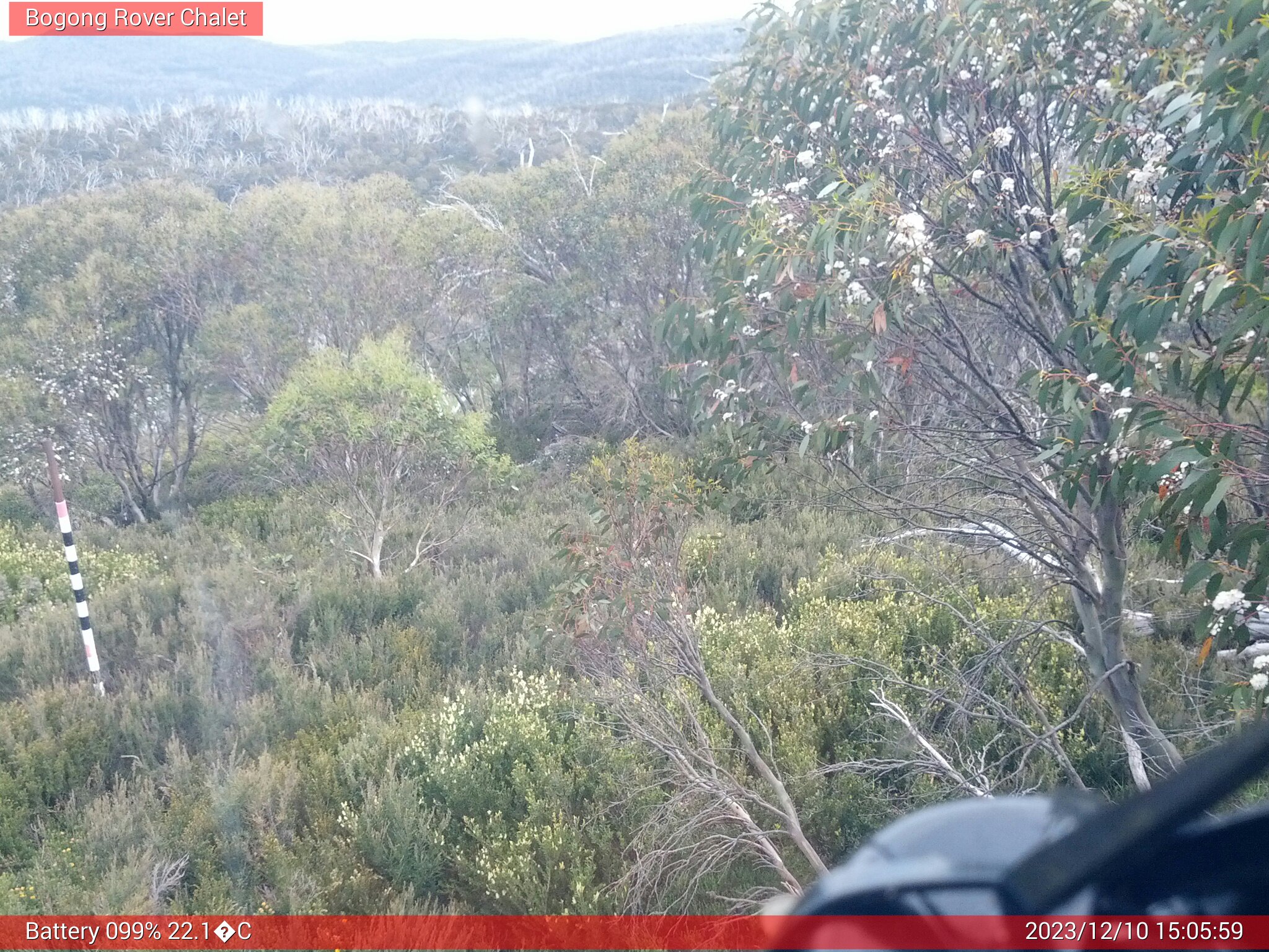 Bogong Web Cam 3:05pm Sunday 10th of December 2023