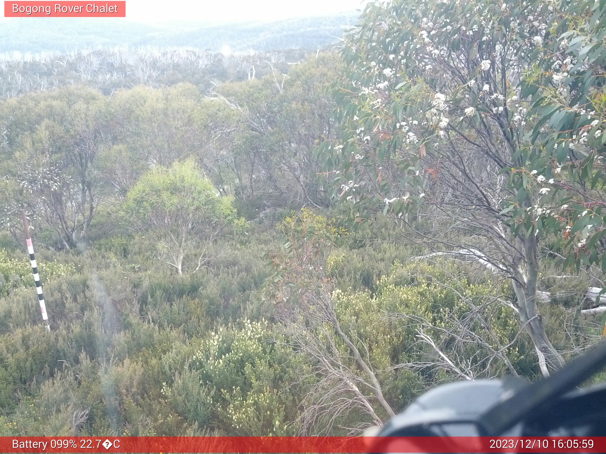 Bogong Web Cam 4:05pm Sunday 10th of December 2023