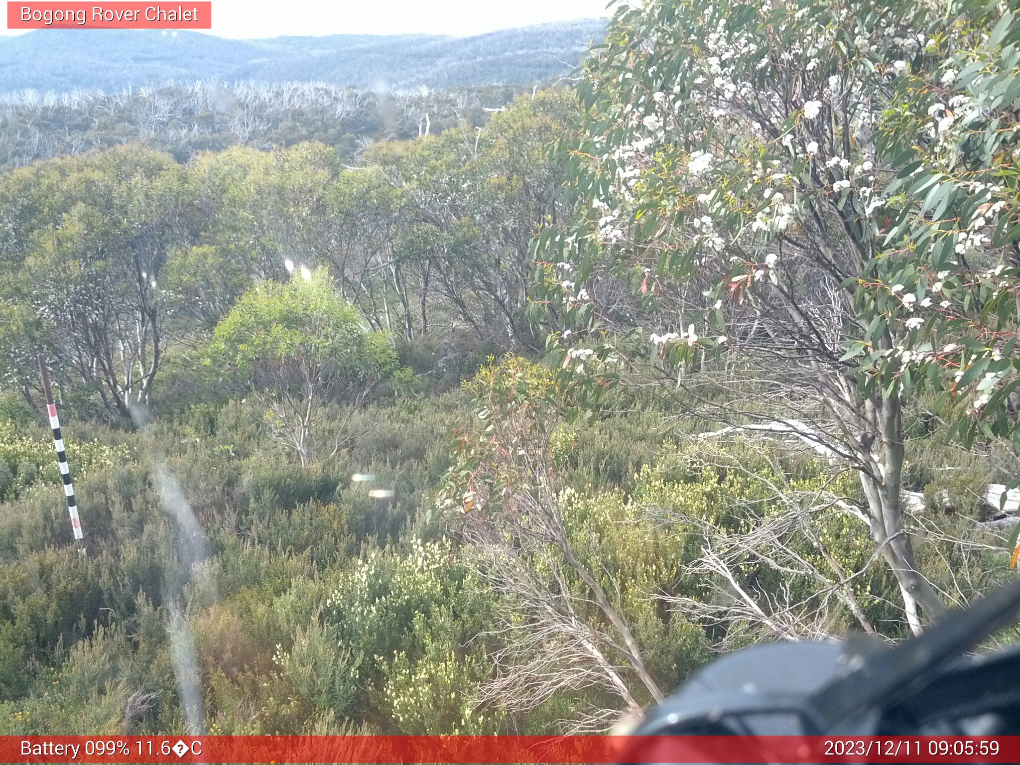 Bogong Web Cam 9:05am Monday 11th of December 2023