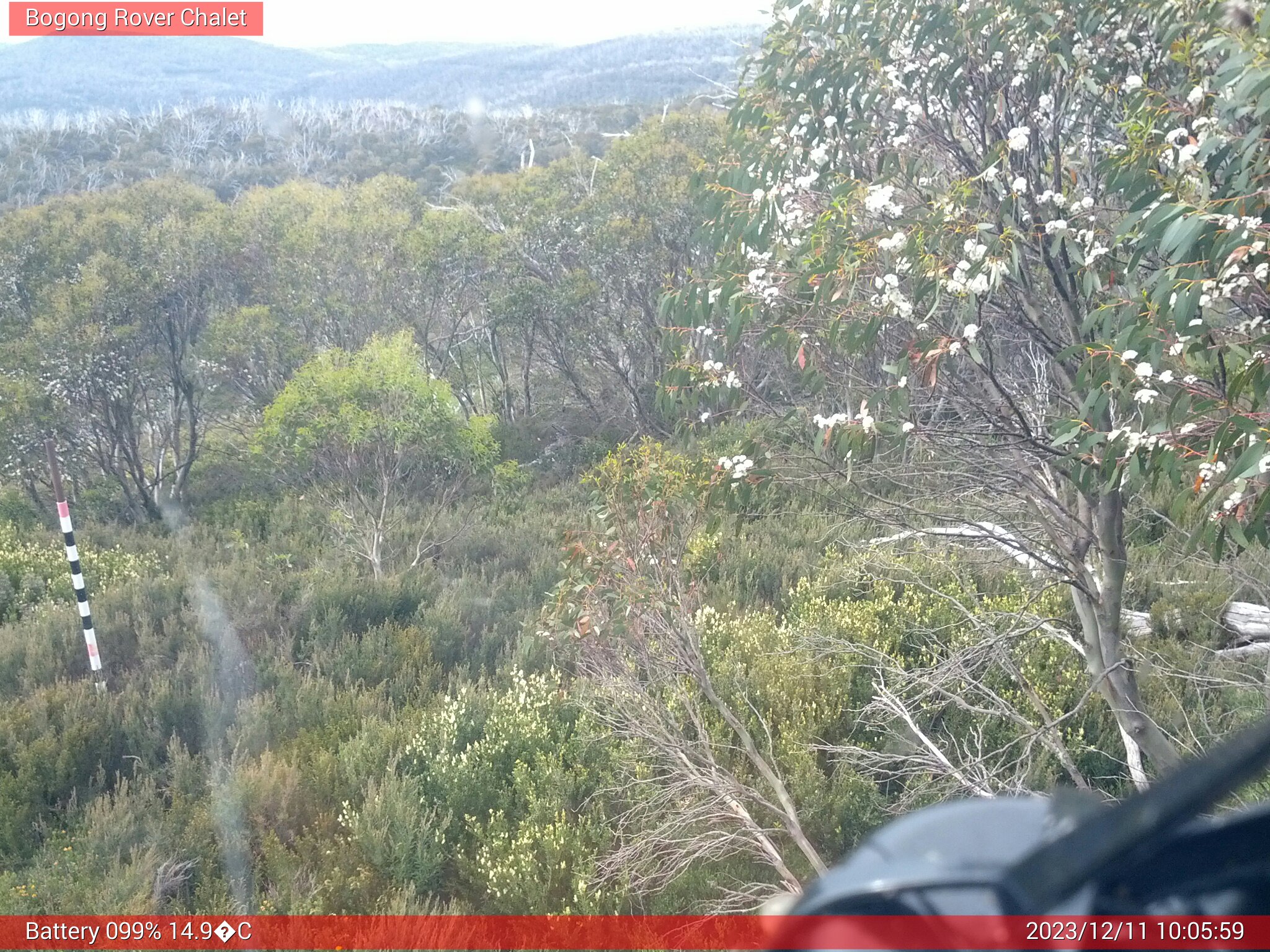 Bogong Web Cam 10:05am Monday 11th of December 2023