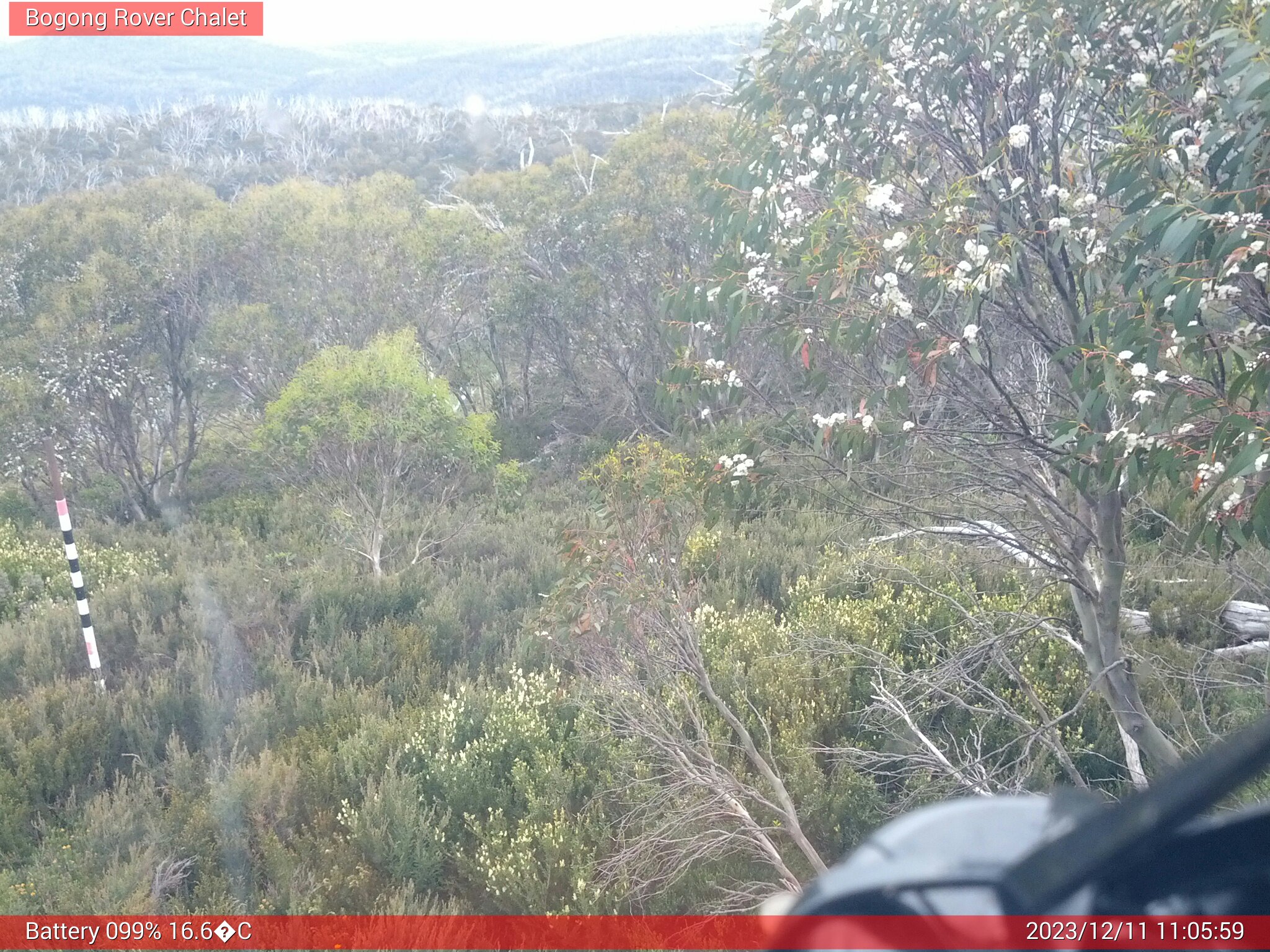 Bogong Web Cam 11:05am Monday 11th of December 2023