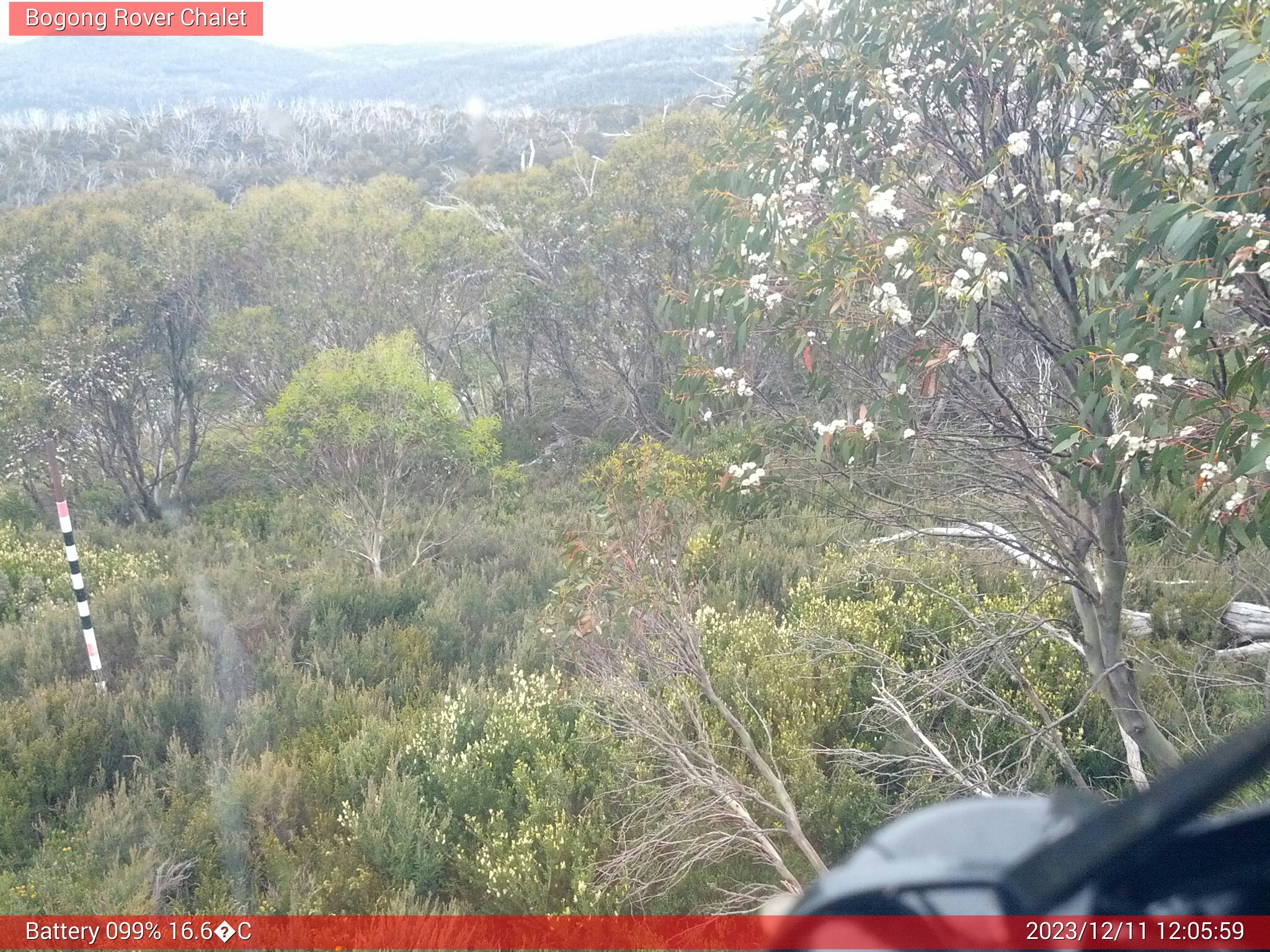 Bogong Web Cam 12:05pm Monday 11th of December 2023