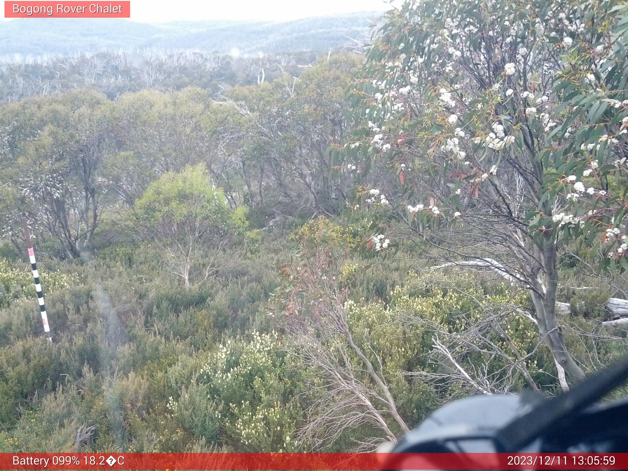 Bogong Web Cam 1:05pm Monday 11th of December 2023